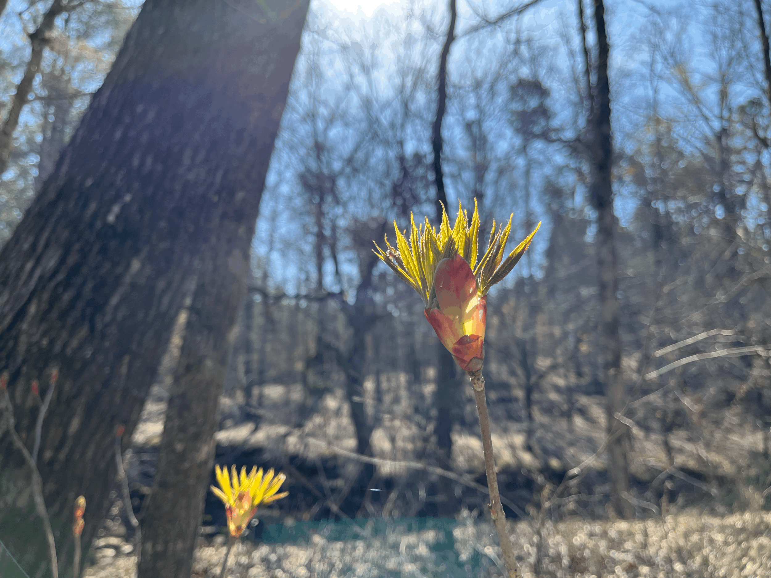 Body Practices for Eco-Grief