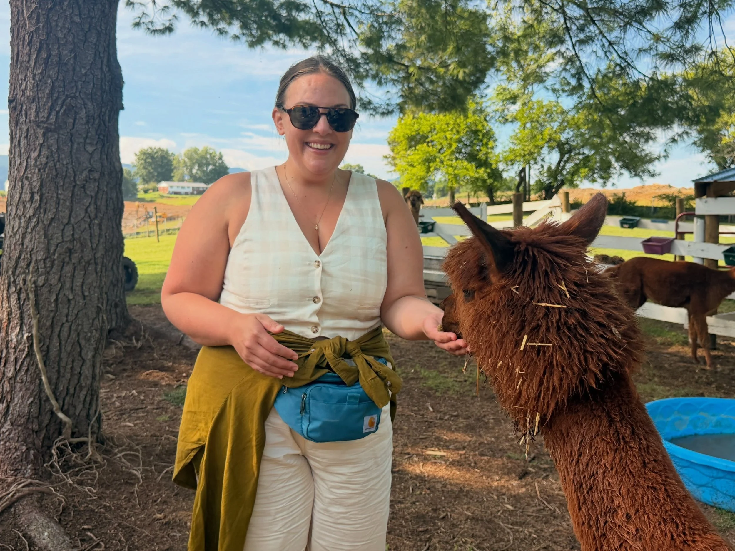 hosted |  Touched grass (and grapes) in @shenandoahtravel this weekend! Loved my stay in @discoverwoodstockva, where I became reunited with my mountain dulcimer on a porch with breathtaking blue-valley views and later fed some cutie animals. And over