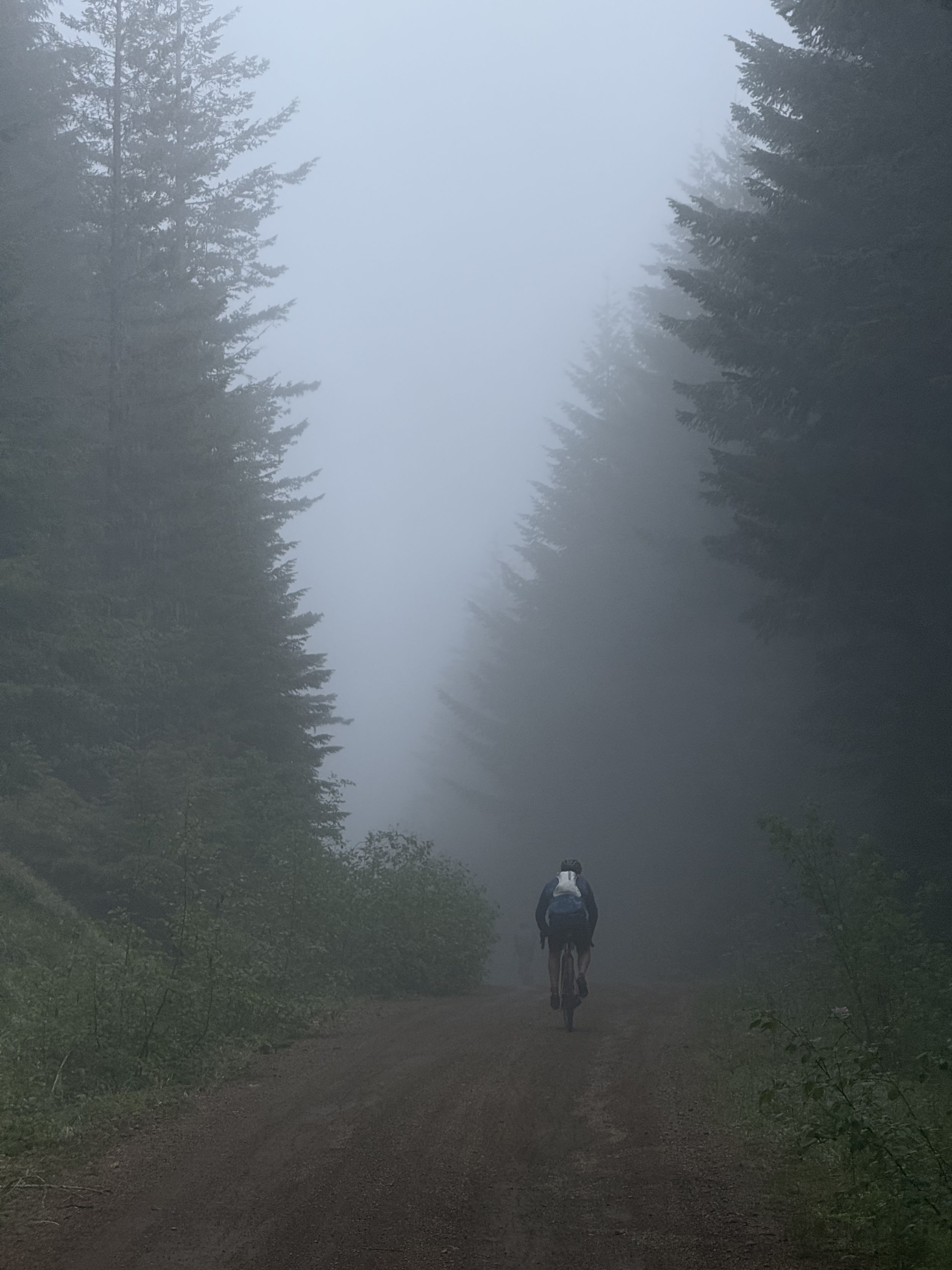Quilcene, Washington (Bon Jon Pass Out)