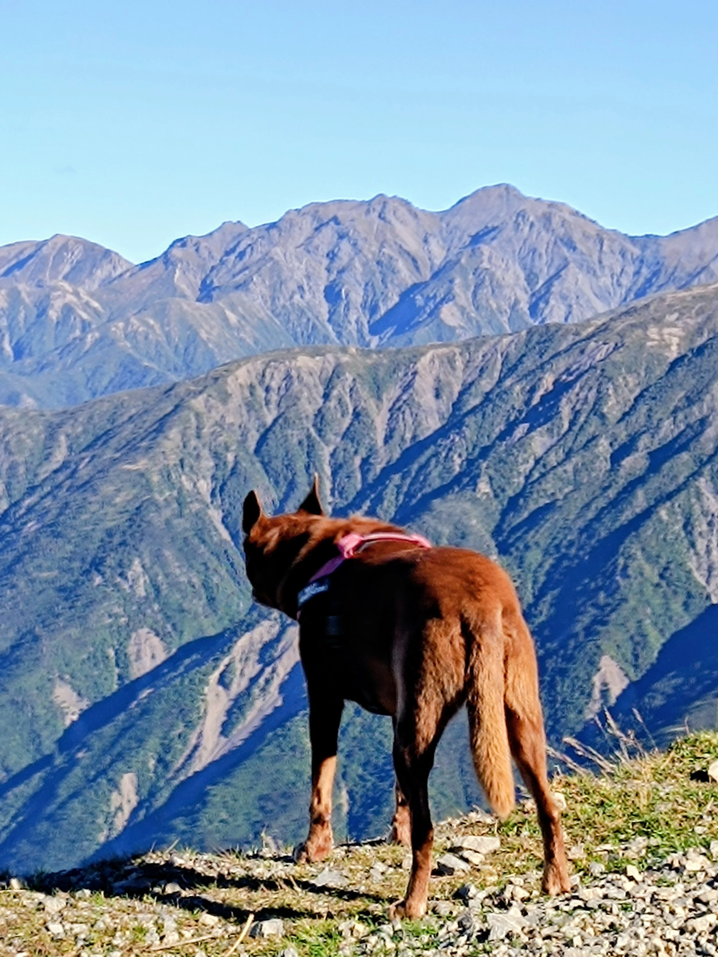 Kaikoura NZ