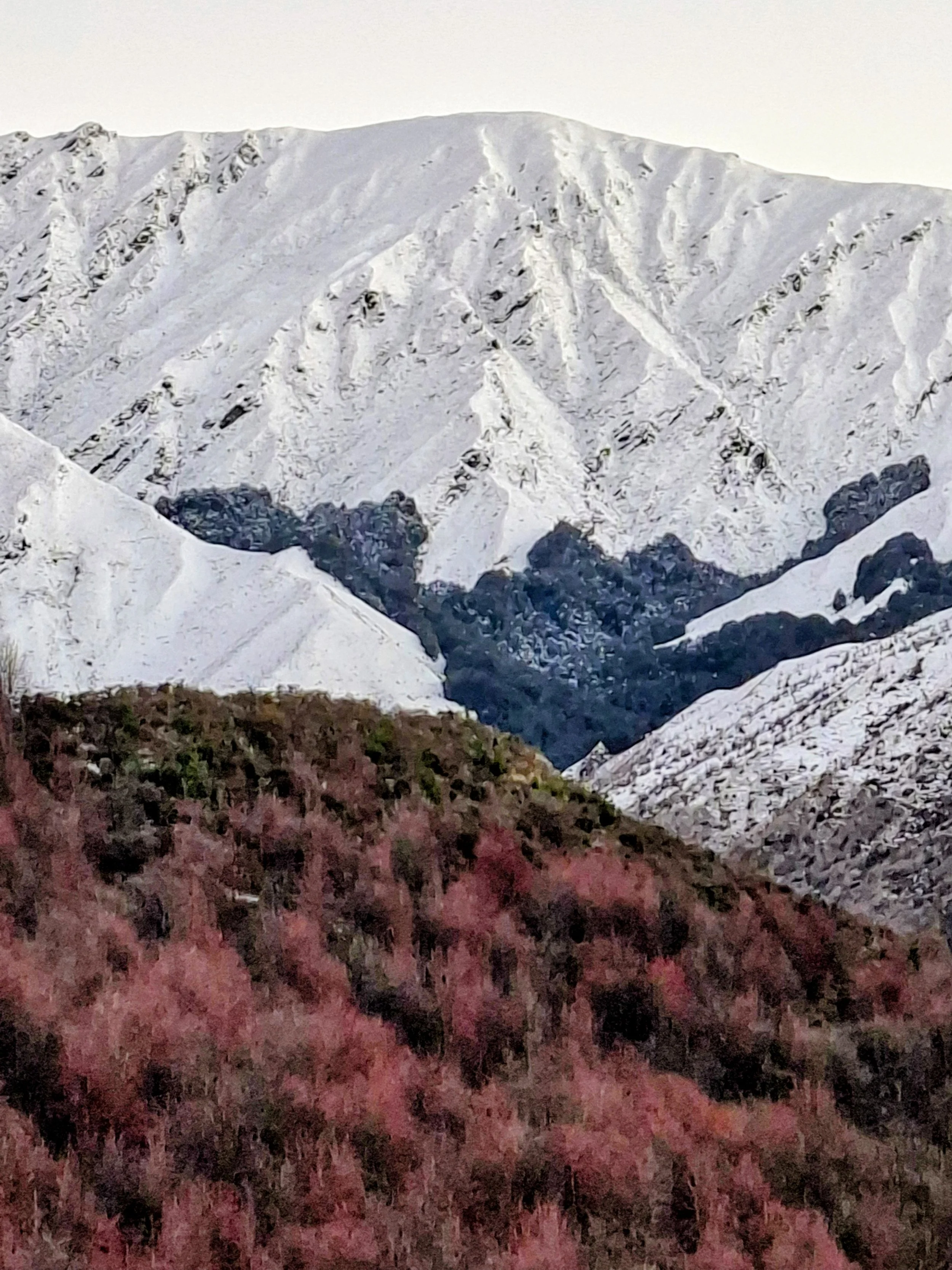 NZ Photo Highlights 