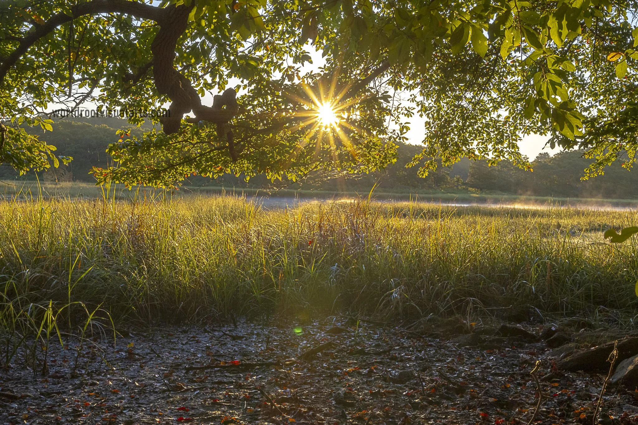 Face the sun-Westport