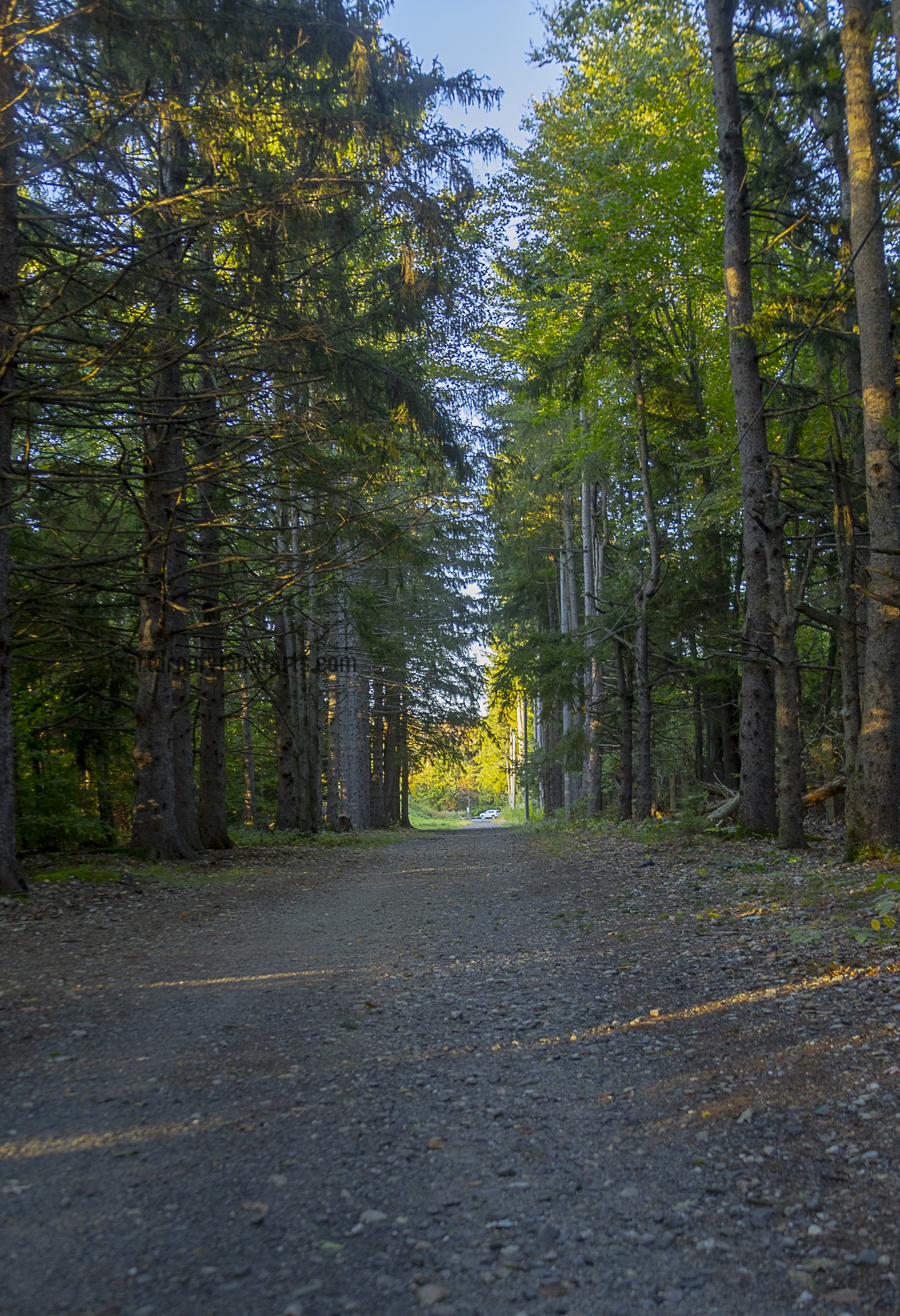 The White Cloth-fitchburg