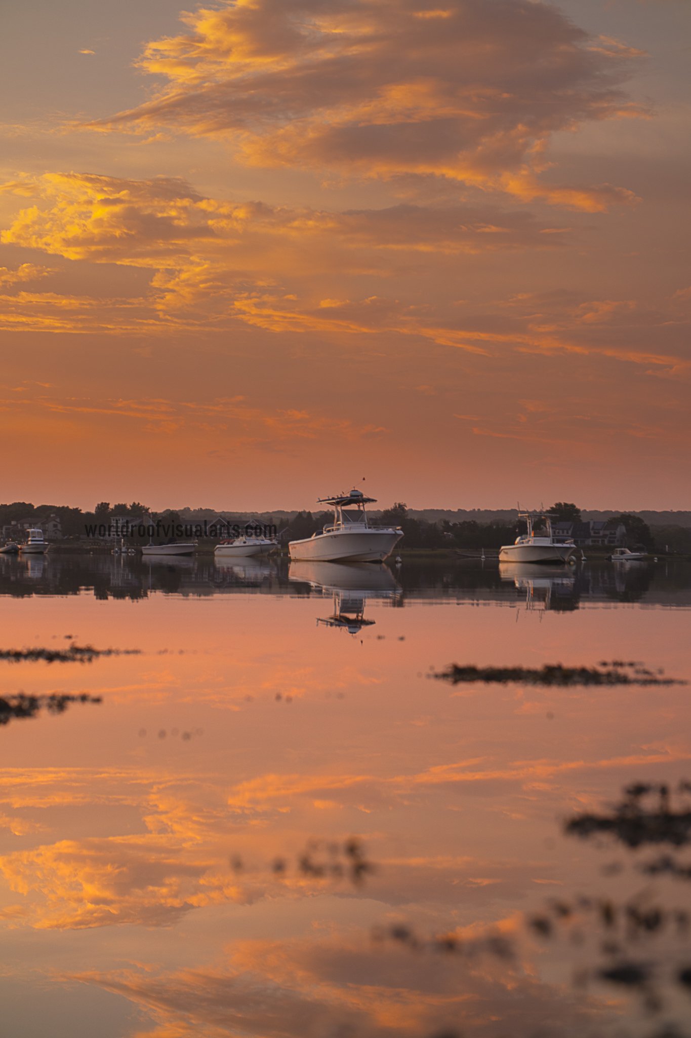 Parallel Universe-dartmouth