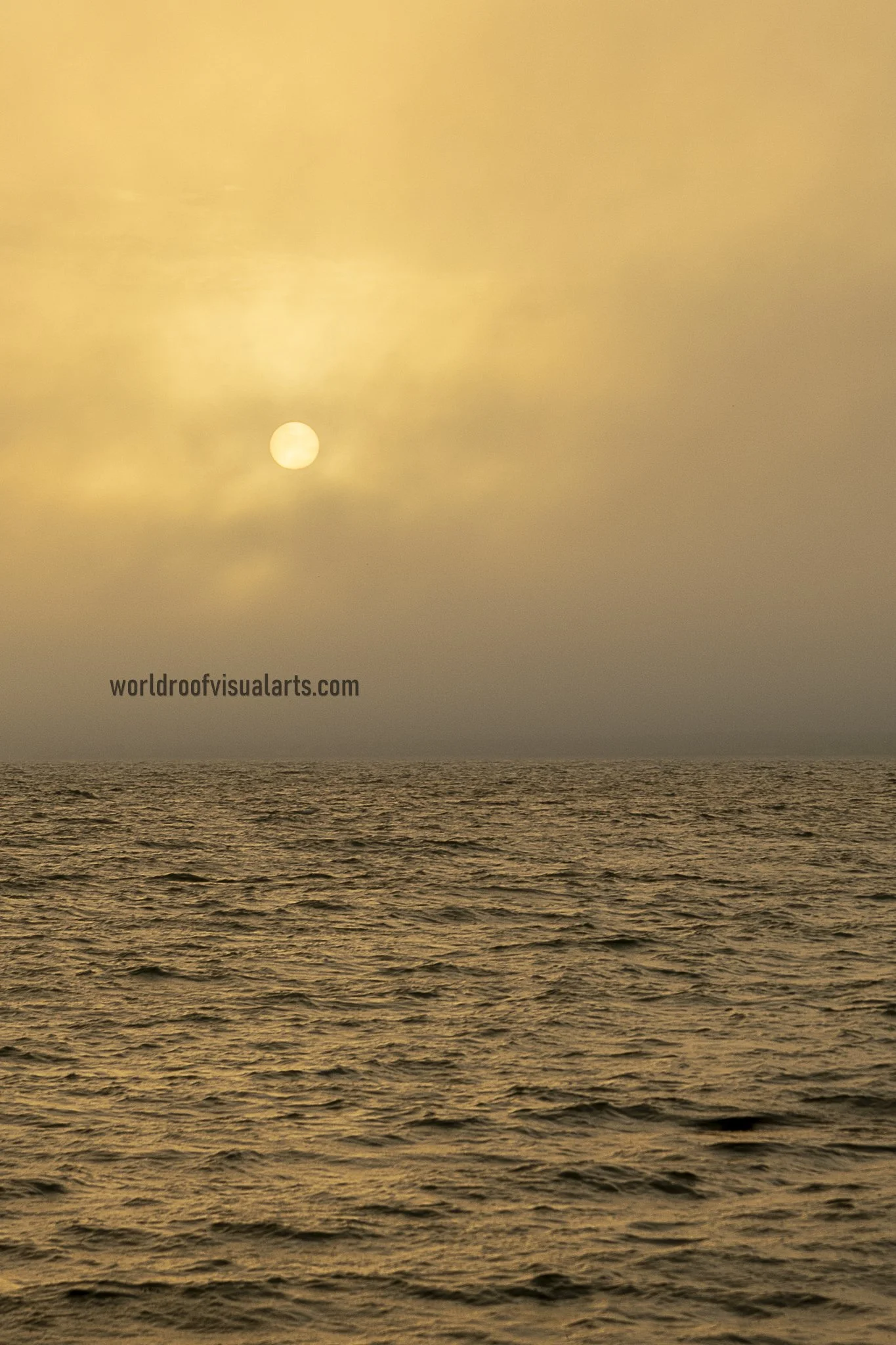 Sun is White-Westport