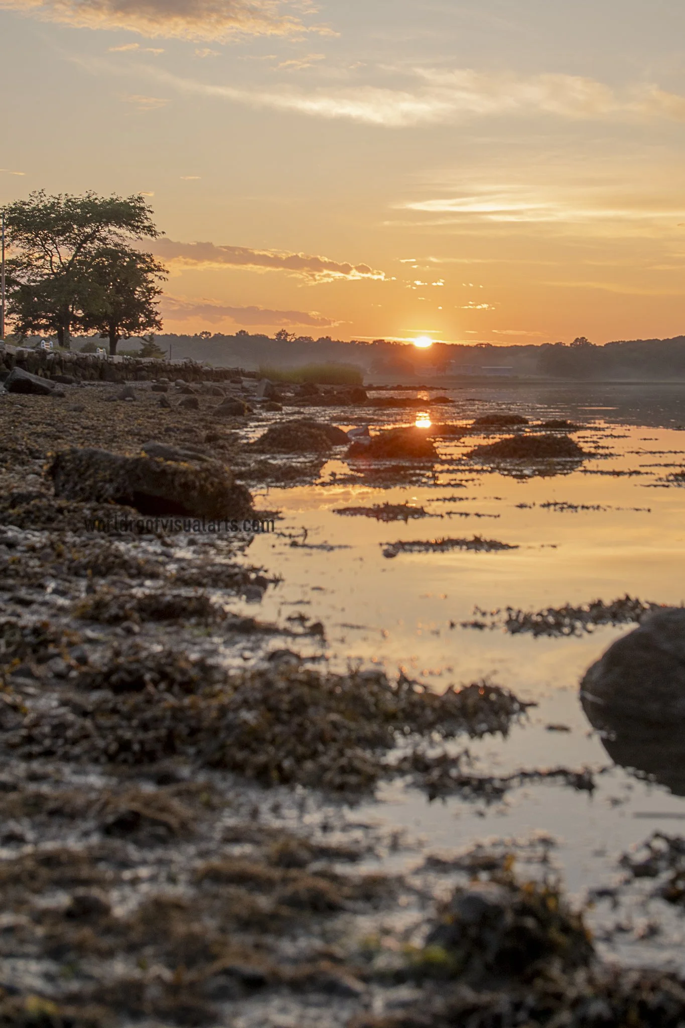 Why Rock Why-Dartmouth