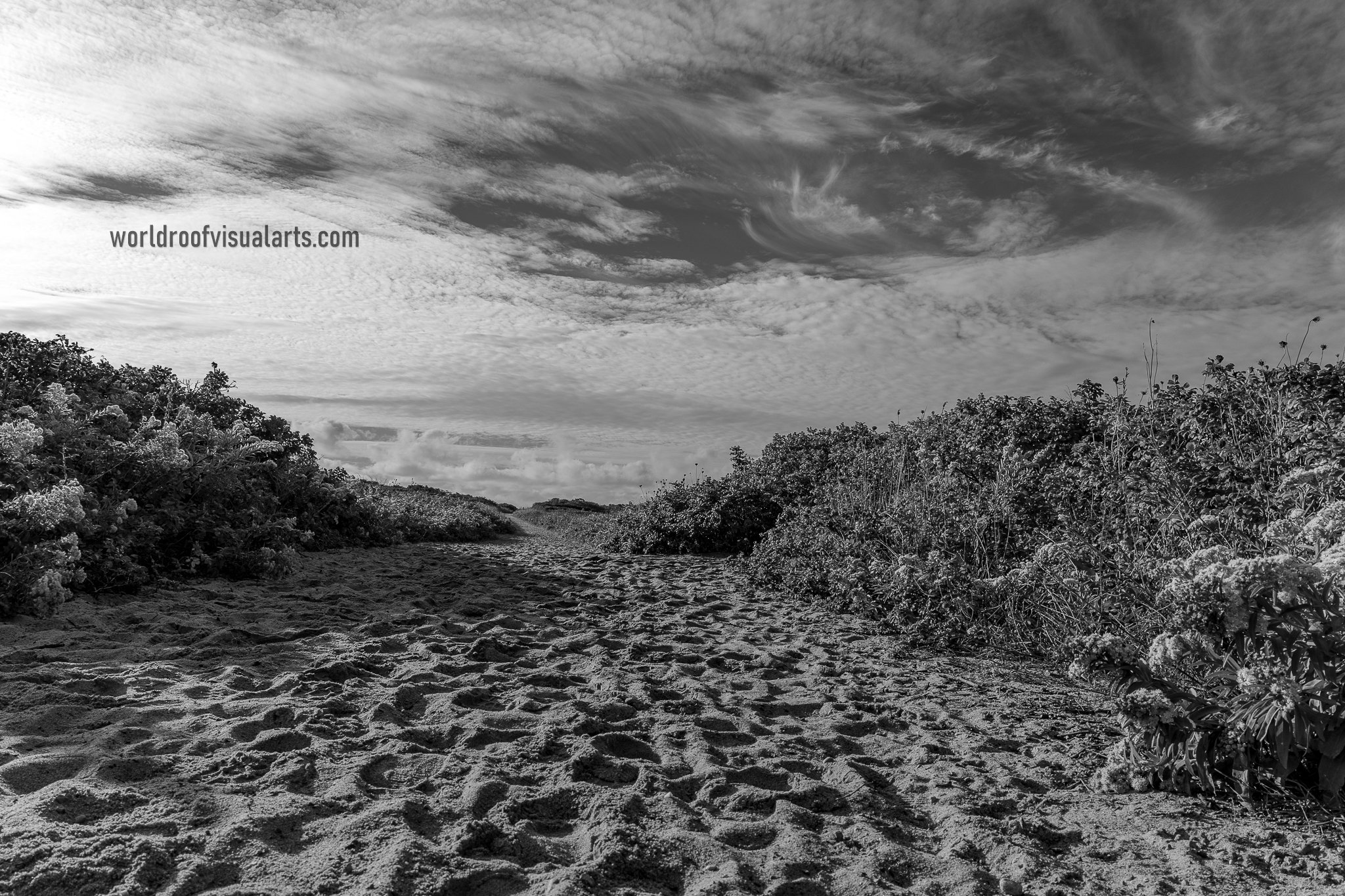 Footsteps- Horseneck