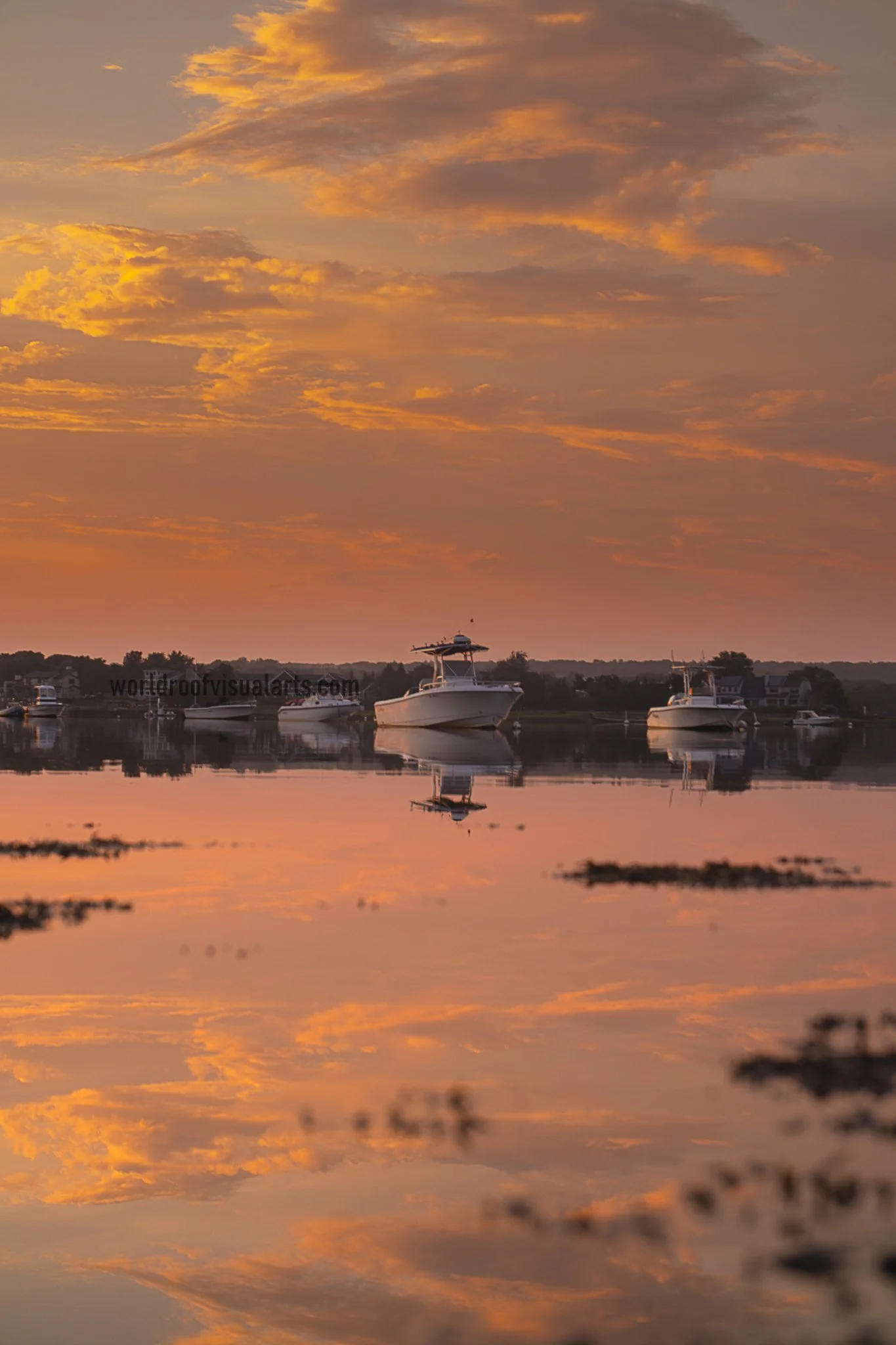 Parallel Universe-Dartmouth