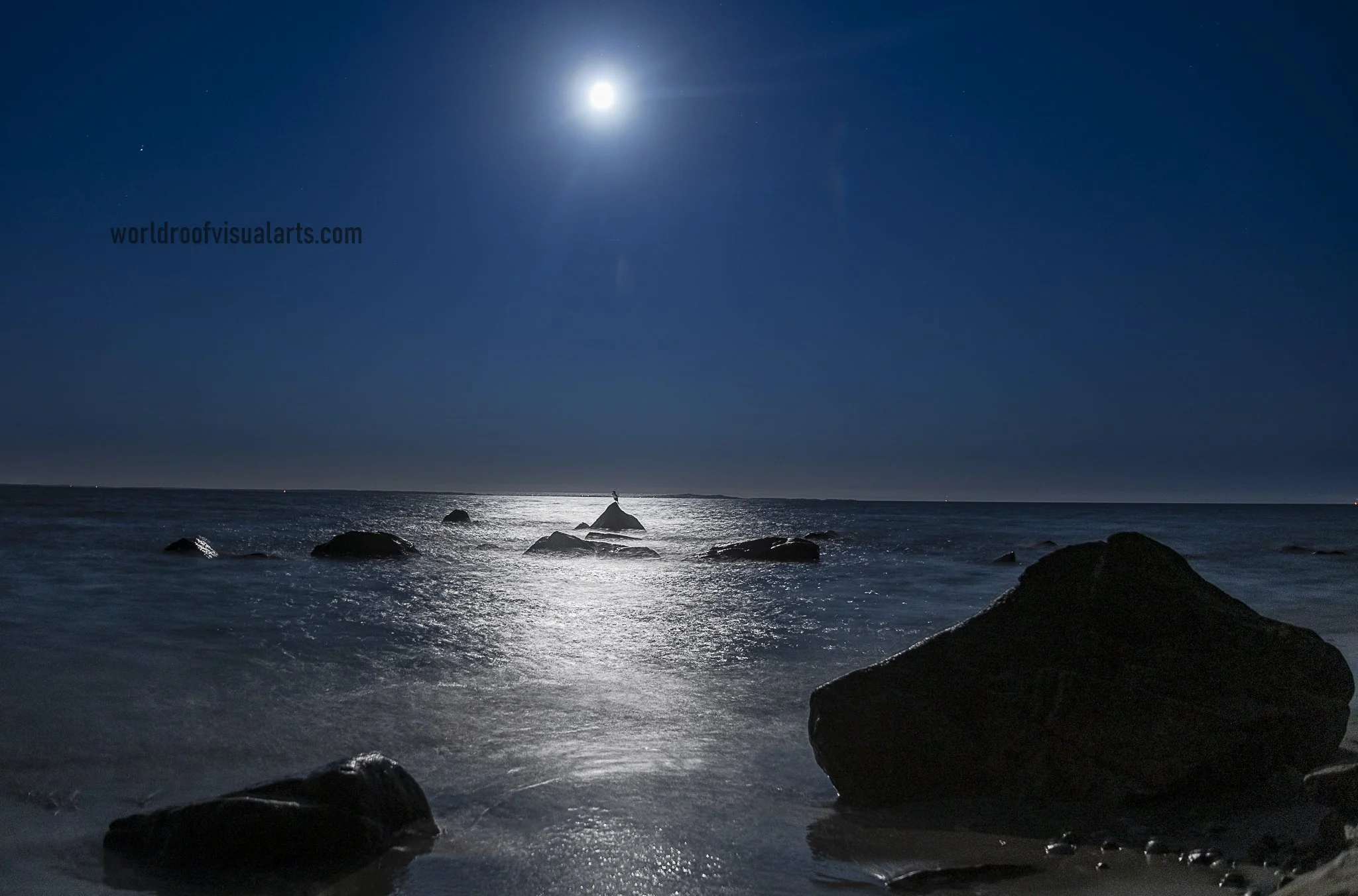 Delicious Night-Westport