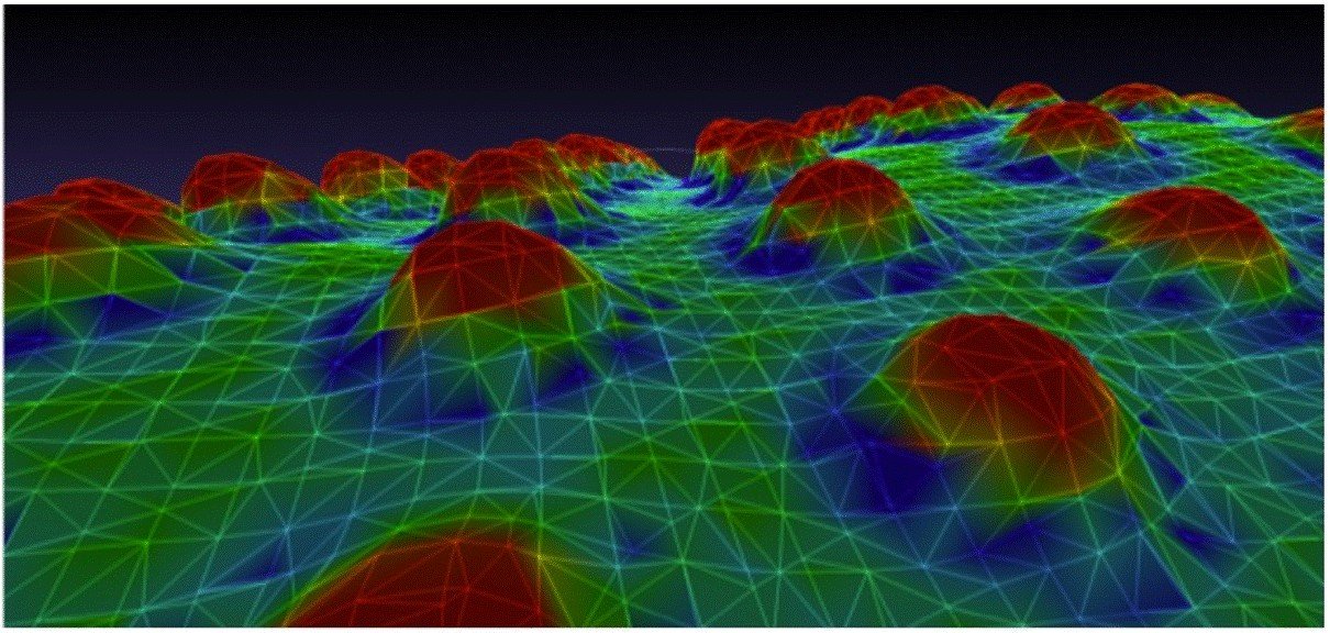 Evolution, development and mechanics: Evodevmec2026