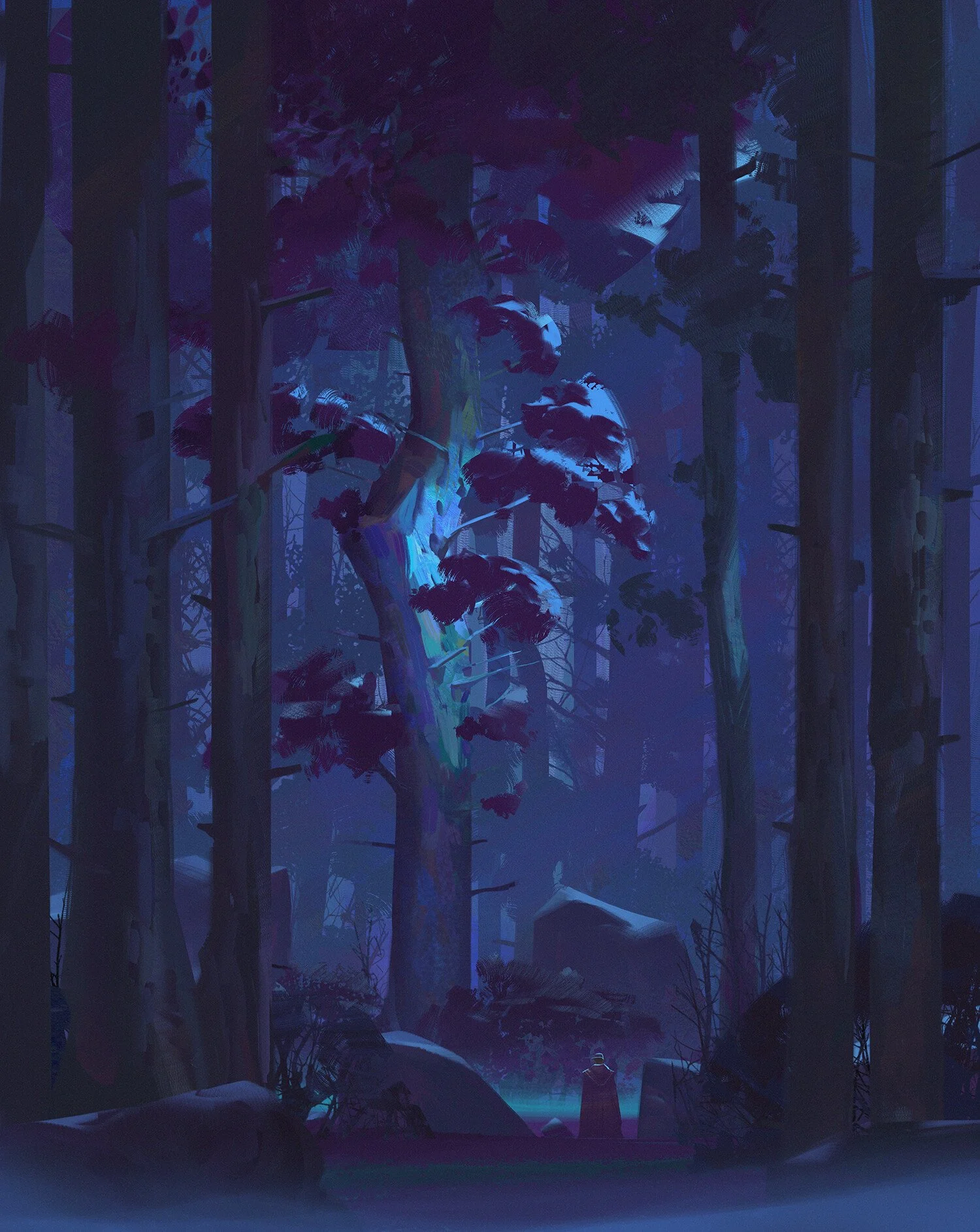 kalen-chock-forest-night.jpg