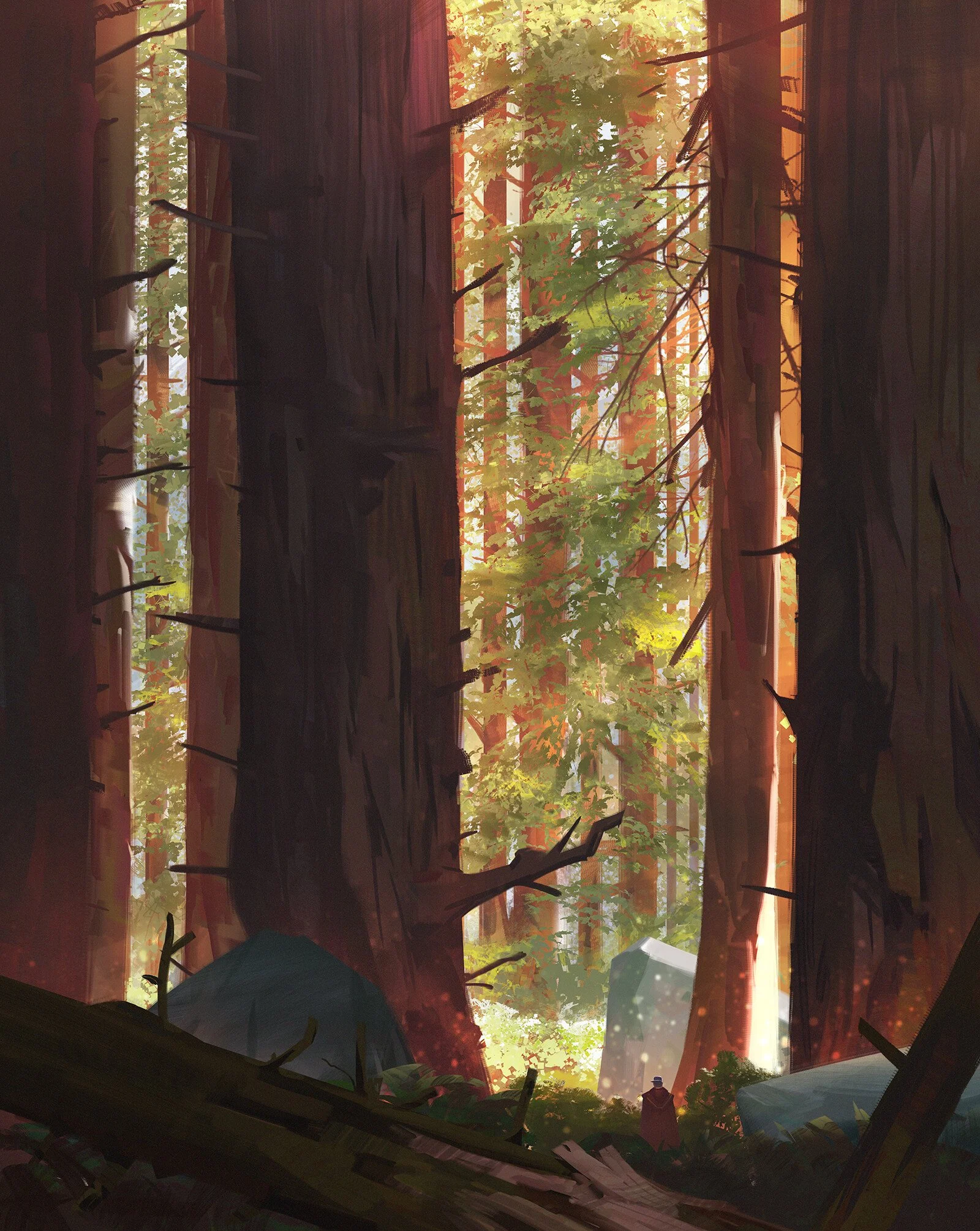 kalen-chock-forest-spring.jpg