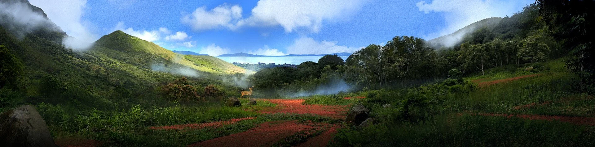 kalen-chock-hawaii-exploration-valley.jpg