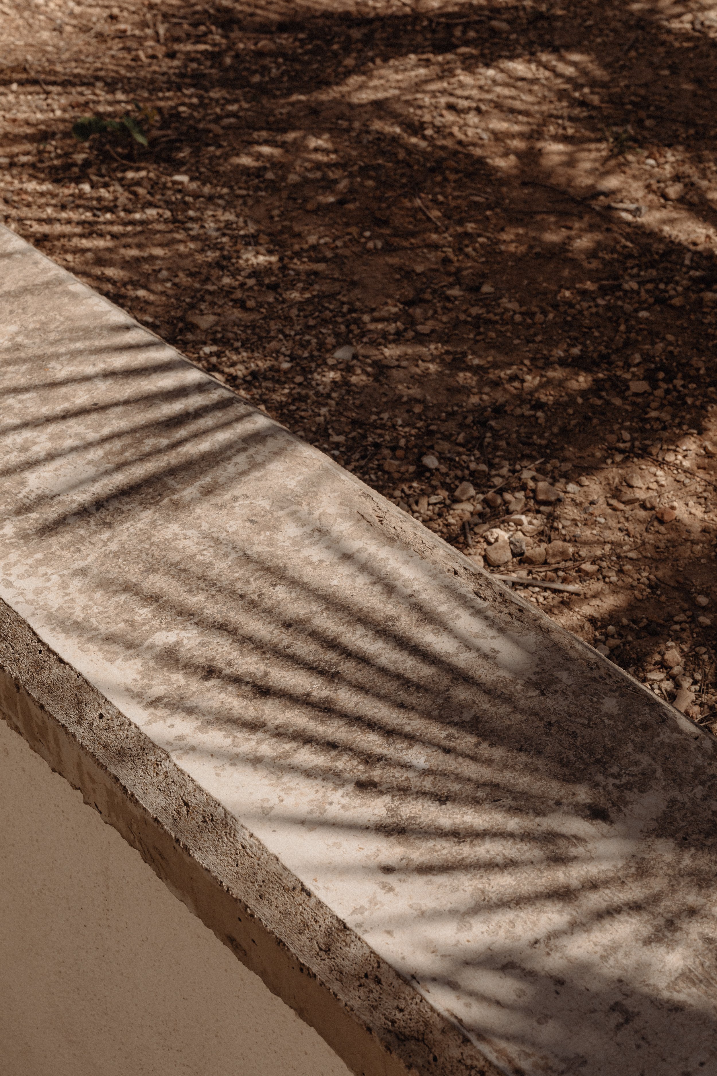 kaboompics_shadows-of-exotic-palms-a-warm-toned-collection-neutral-backgrounds-31072.jpg