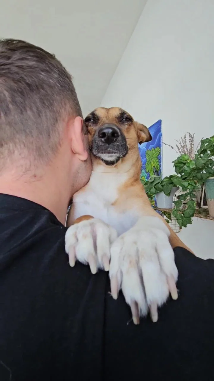 Person kissing a dog on the side of the head, the dog has a funny facial expression and big paws resting on the person's shoulder.