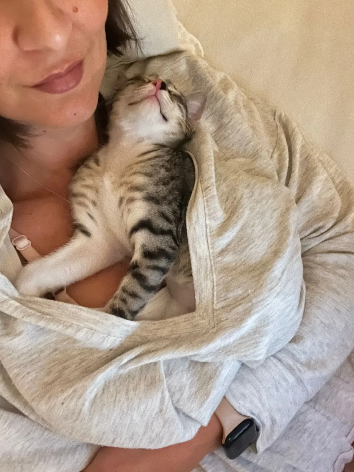 Person holding a striped kitten close, the kitten is resting peacefully on their chest with eyes closed, wearing a collar.