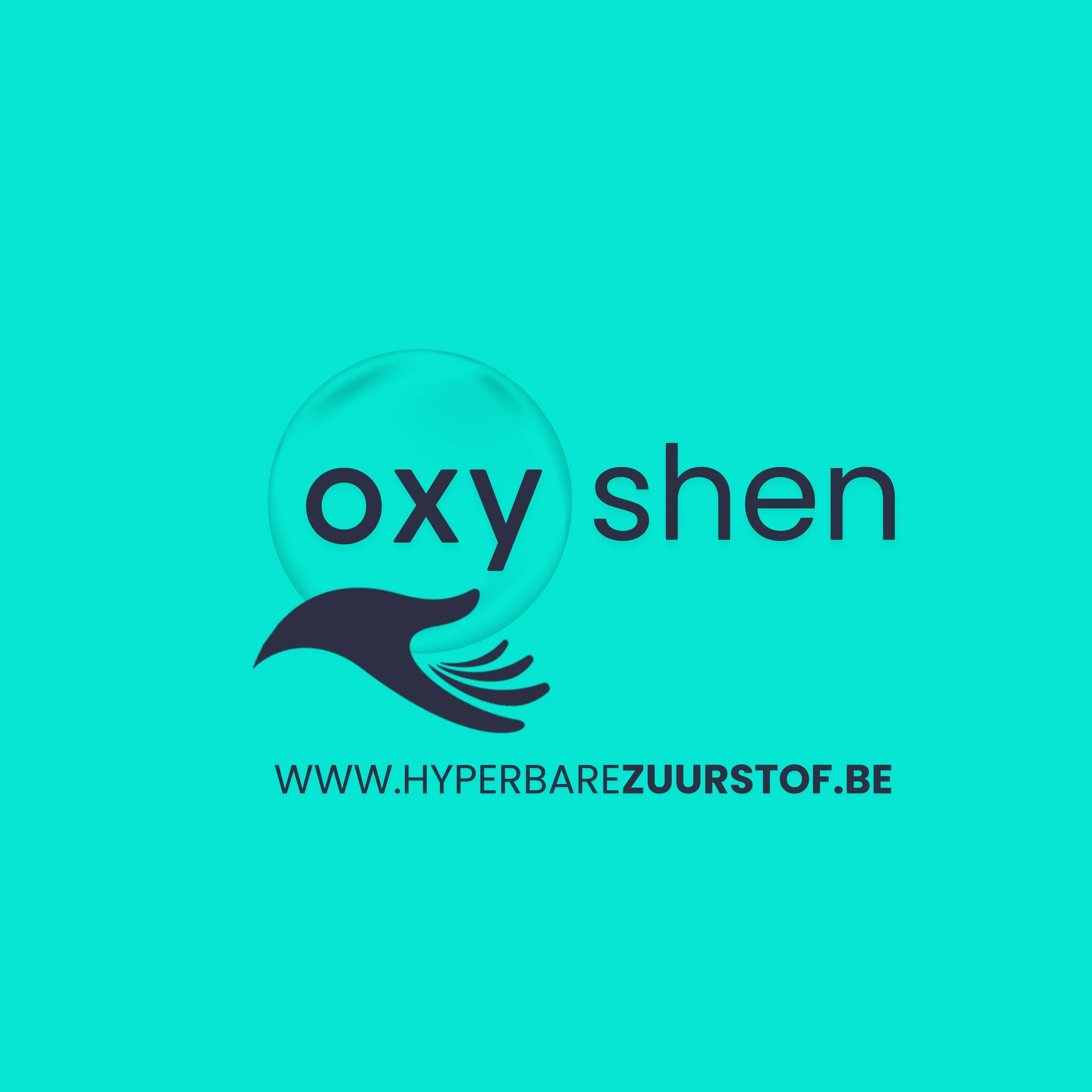 Hyperbare zuurstoftherapie bij Oxyshen I Beste prijs in België