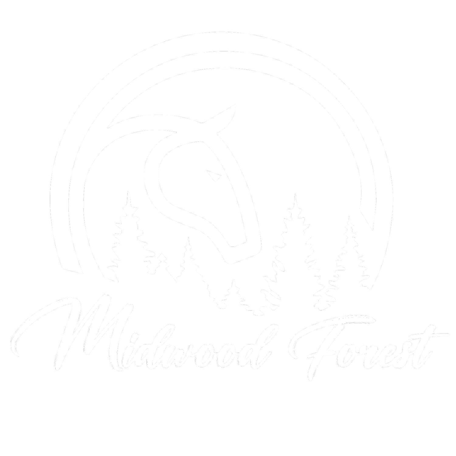 MIDWOOD FOREST