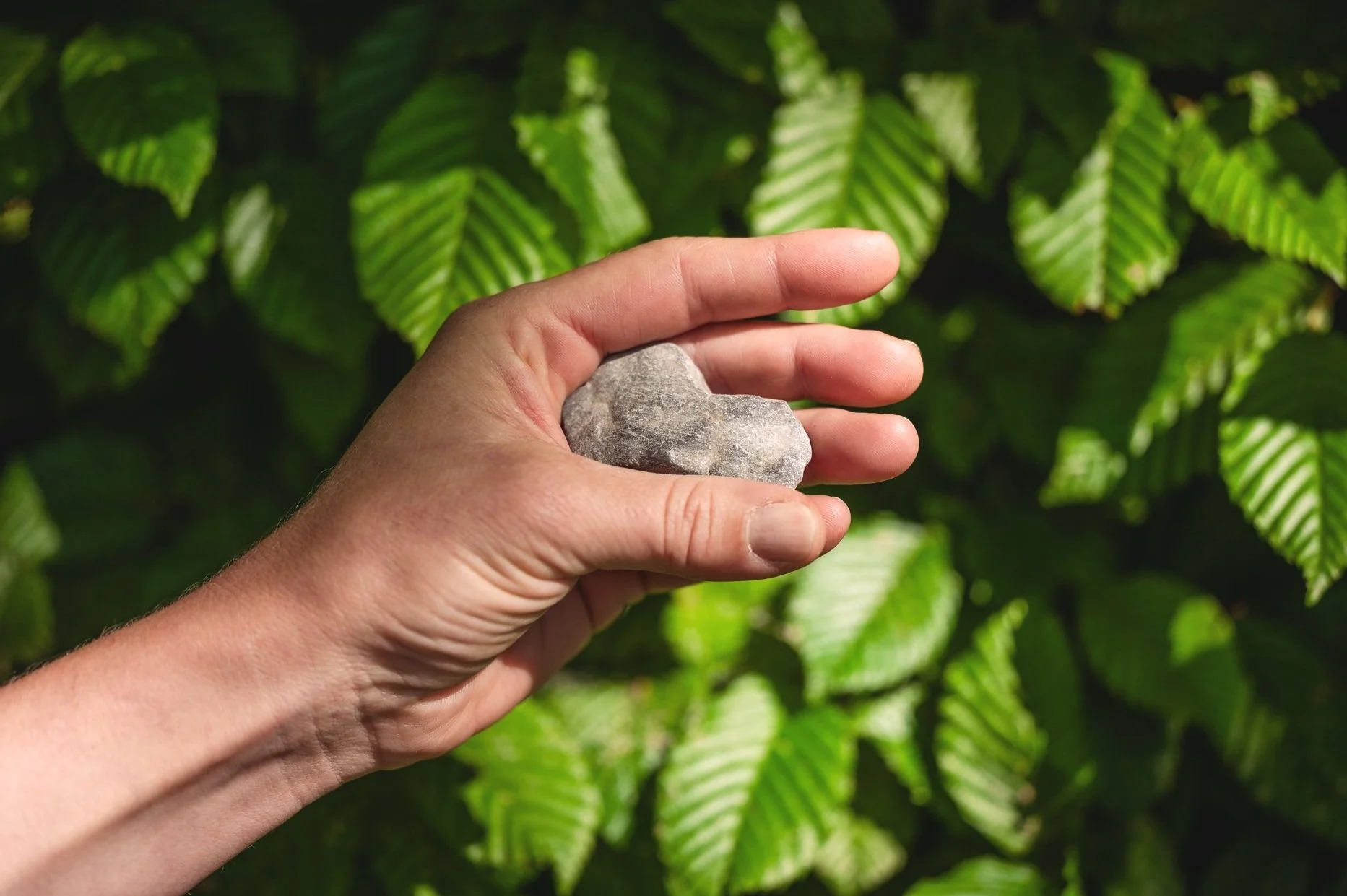 Julia Metzger_20052024_552.jpg