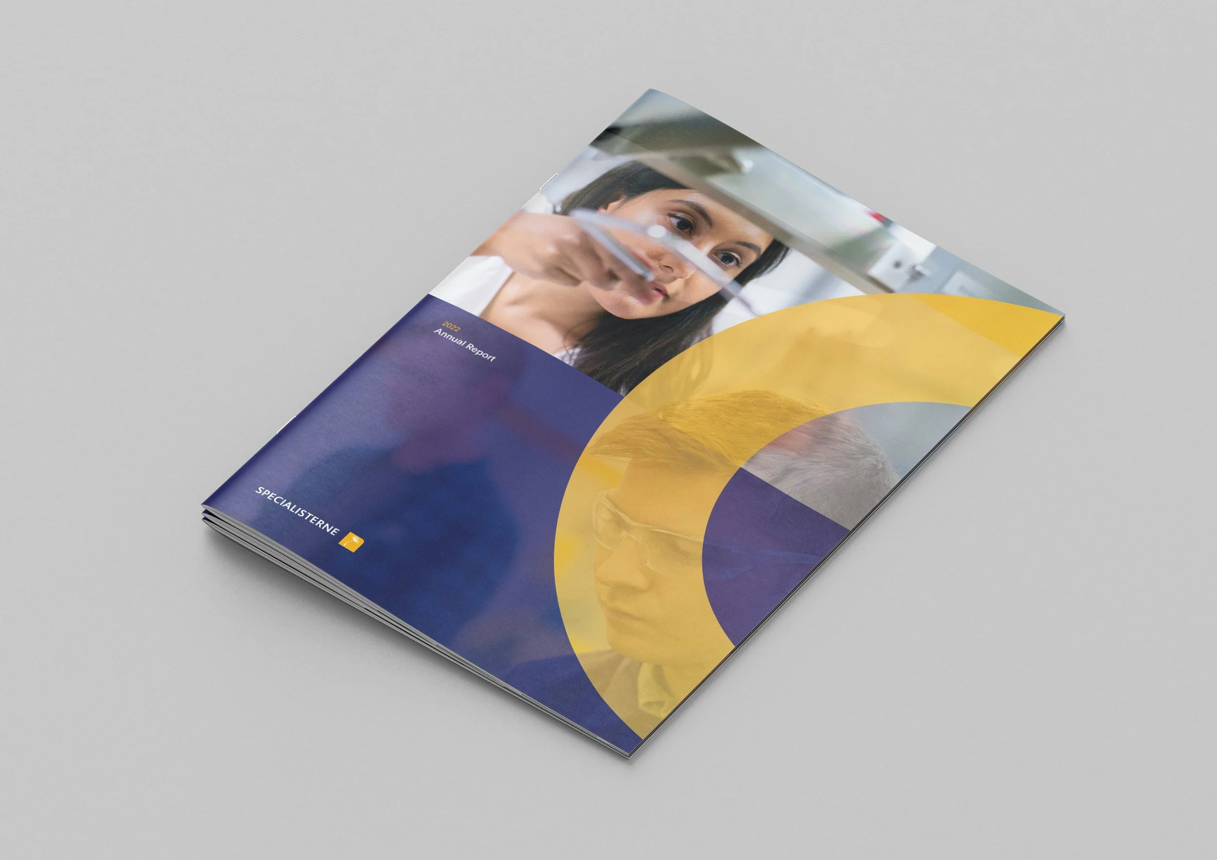FER_AnnualReport_Mockups.jpg