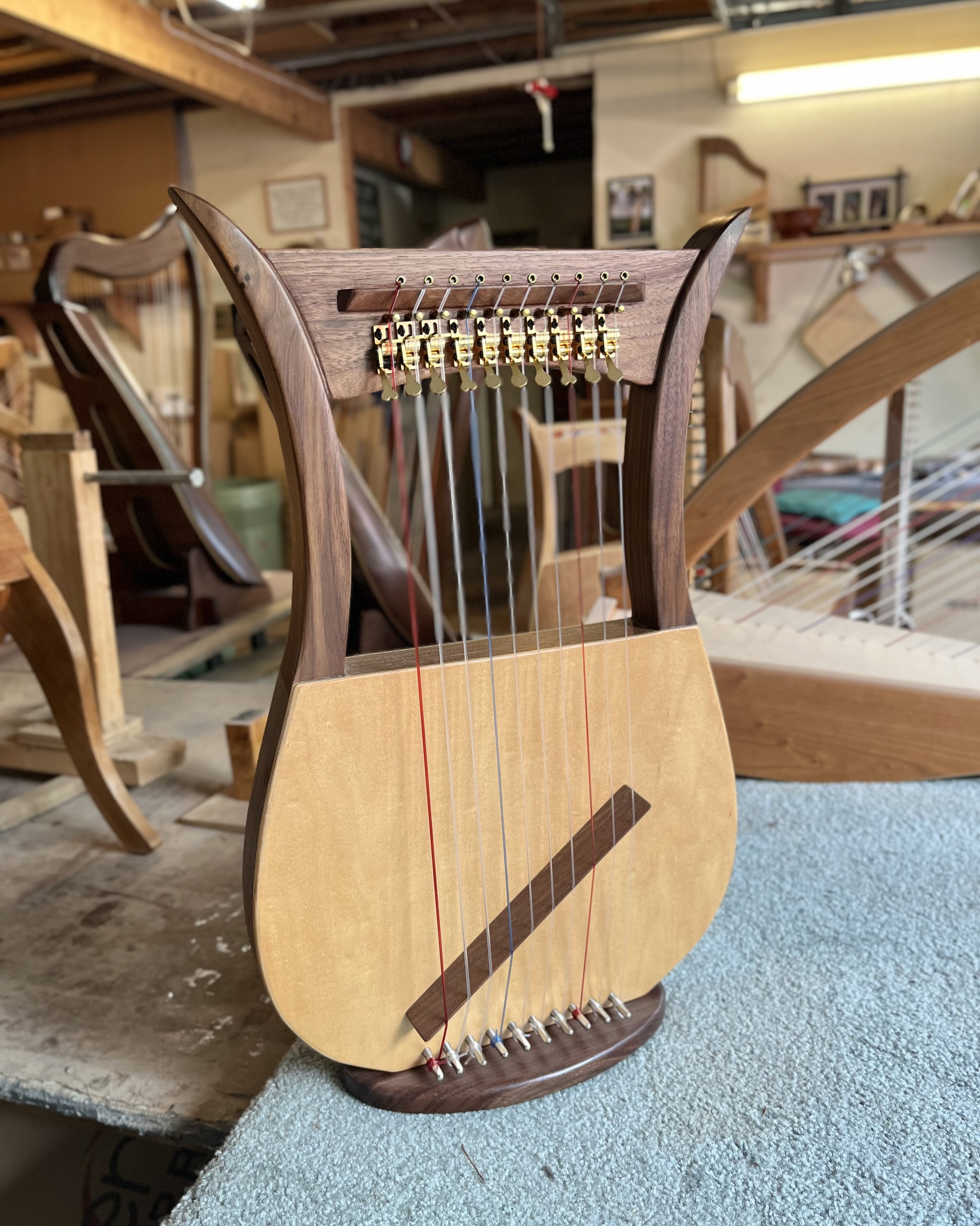 10-String Davidic #499