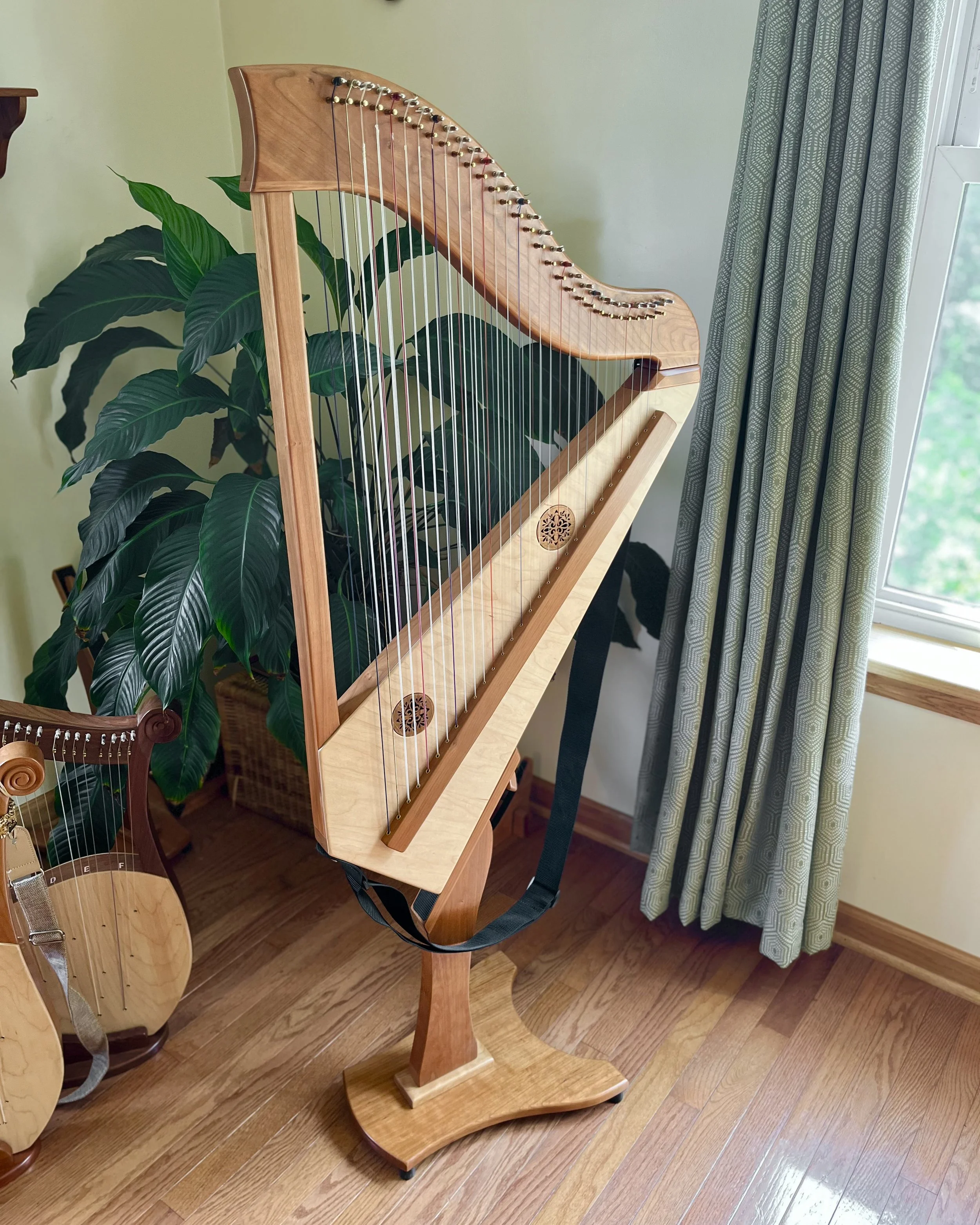 30x2-Bass Double Strung #10