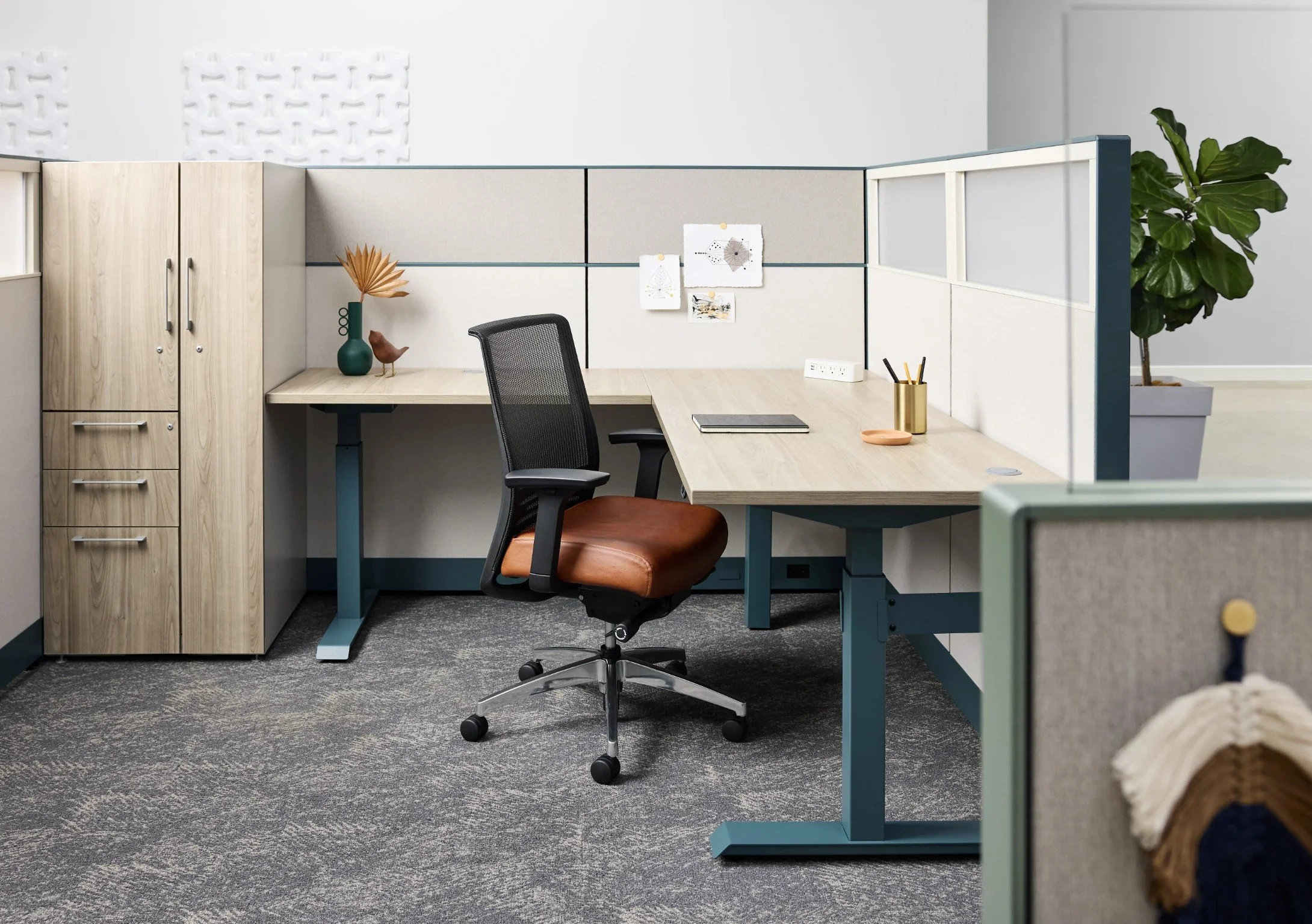 National Naviyd Height-Adjustable Collection