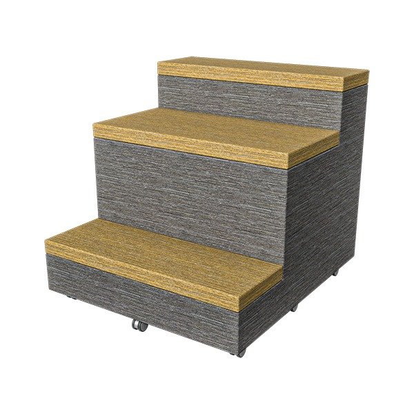 FLEX Steps with Casters