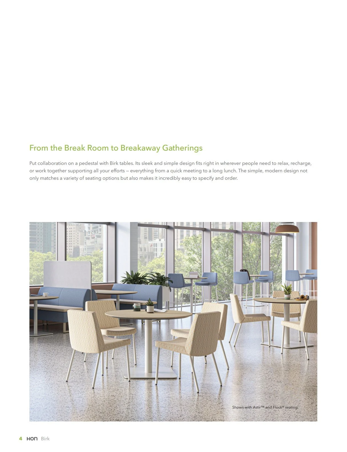 HON Birk Brochure