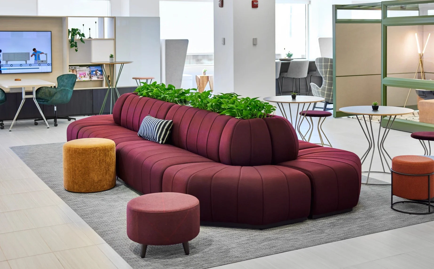 National Swift Lounge Collection