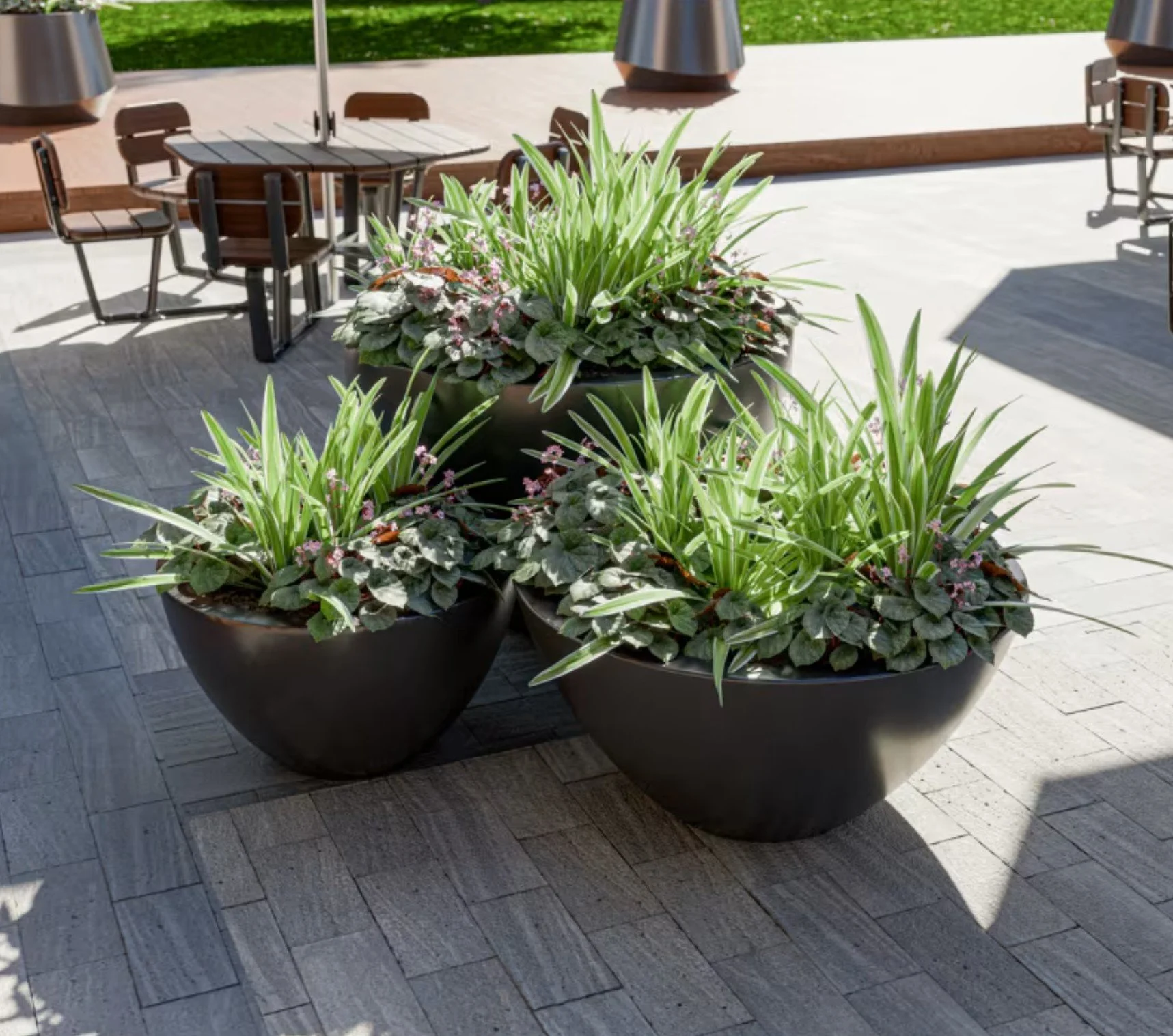 Botton+Gardiner Dish Planter