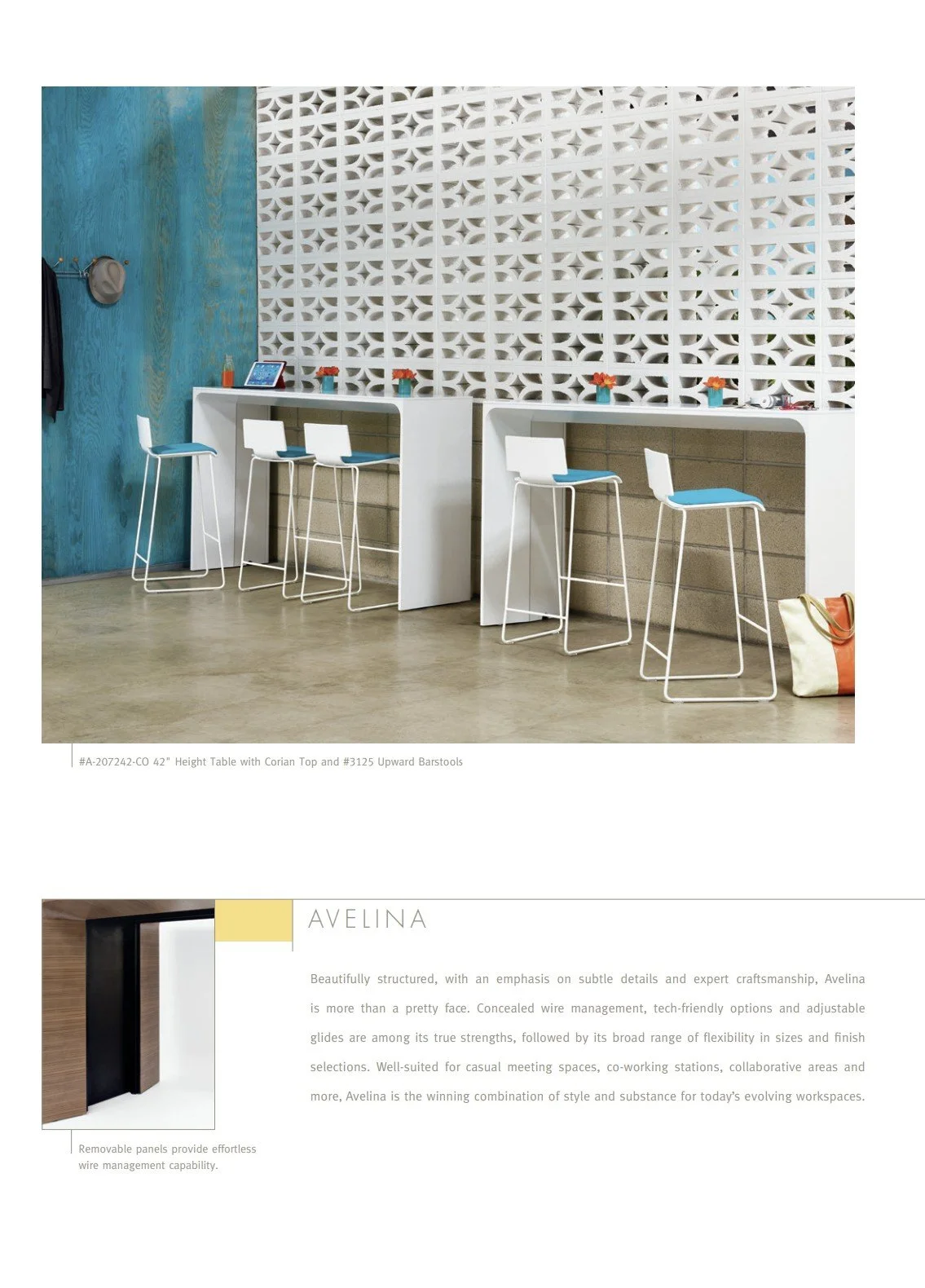 Arcadia Avelina Brochure