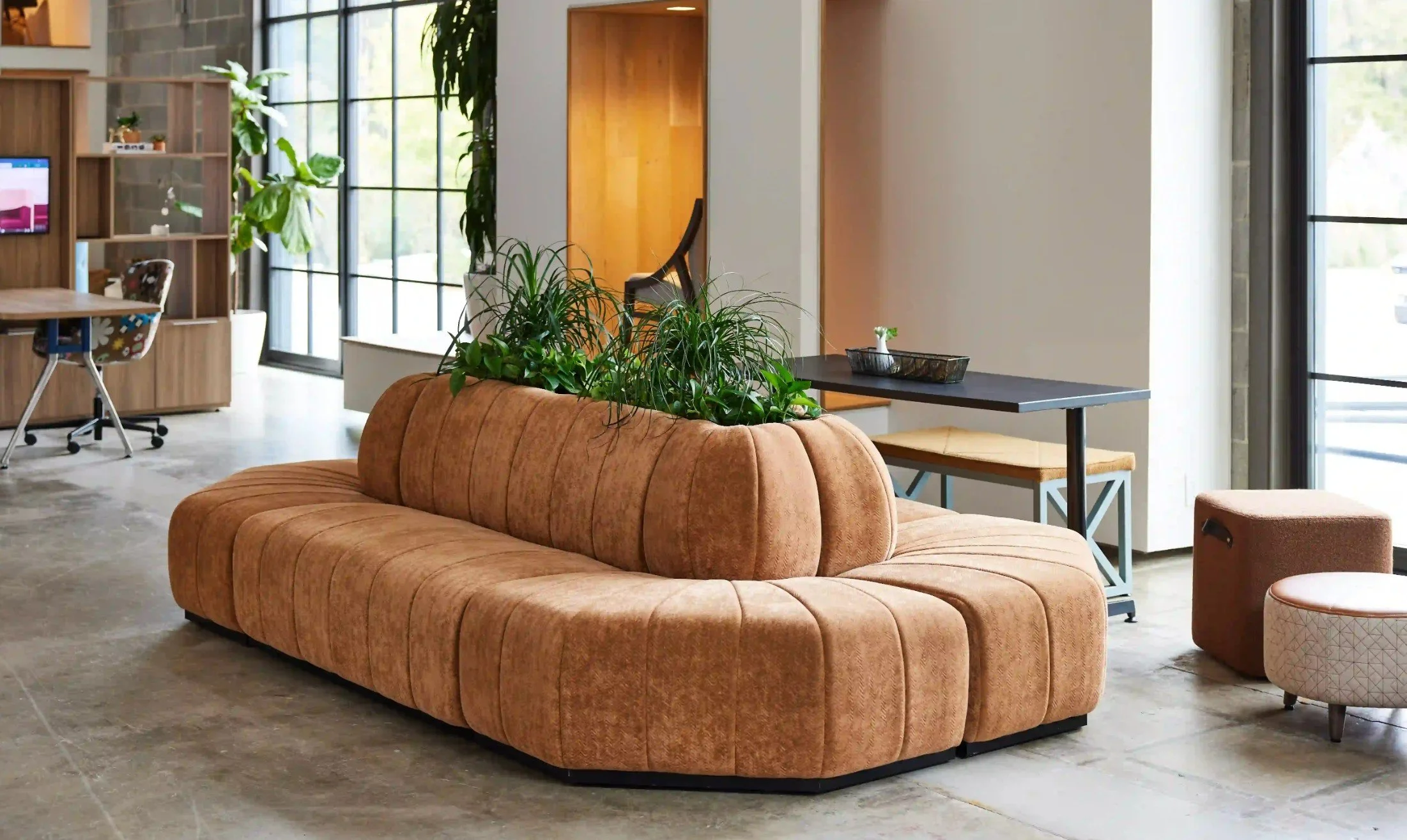 National Swift Lounge Collection