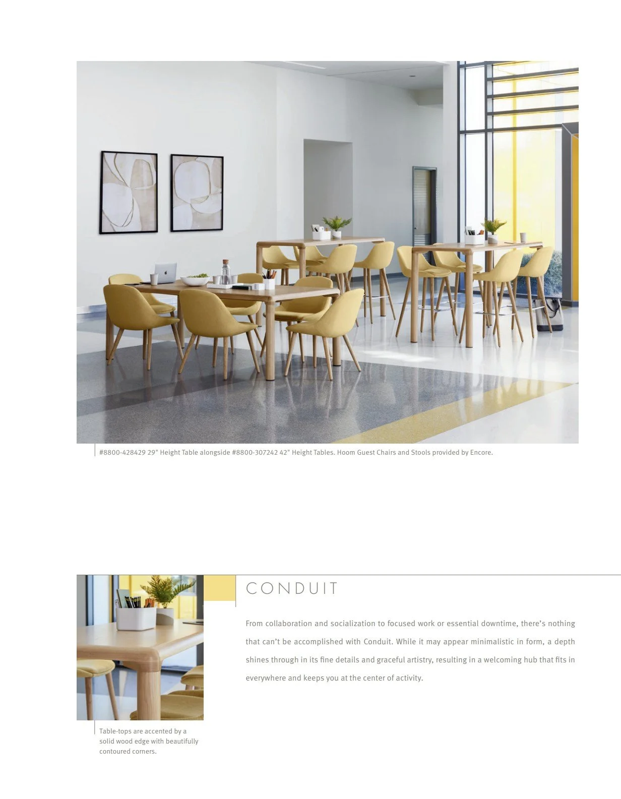 Arcadia Conduit Brochure