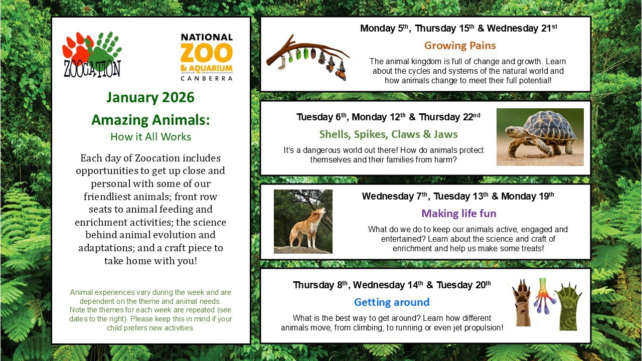 Zoocation is OPEN!