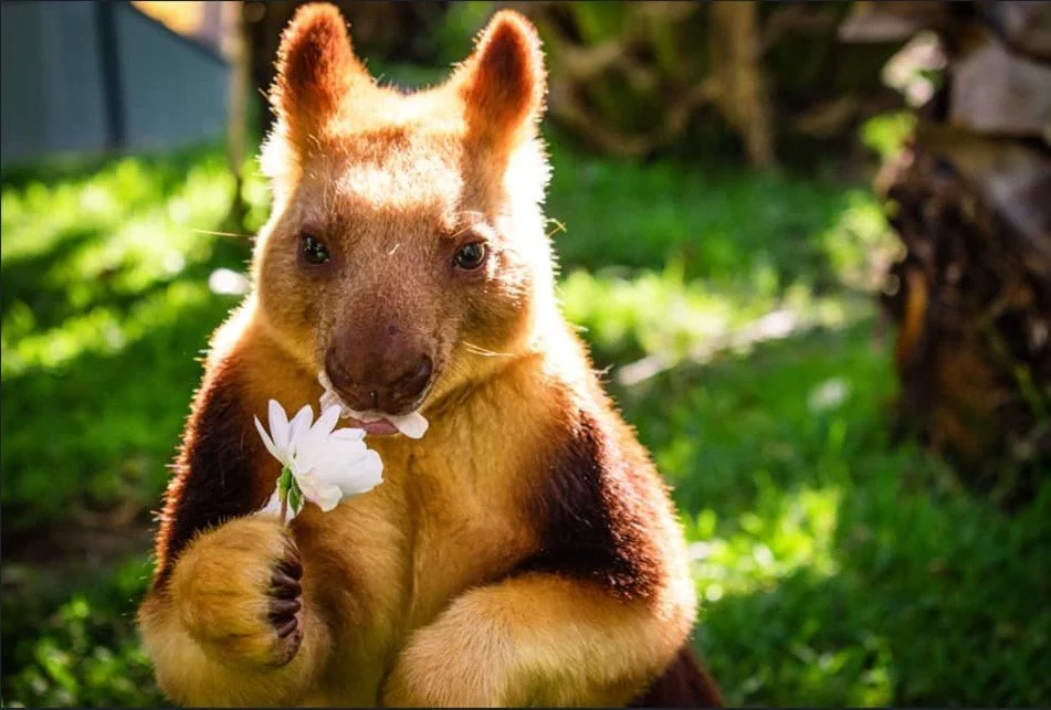 Summer Holidays are HERE! Events every day until February