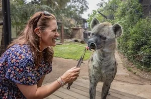 Diamond Python | Discover Wildlife Today — National Zoo & Aquarium