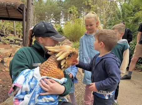 Diamond Python | Discover Wildlife Today — National Zoo & Aquarium