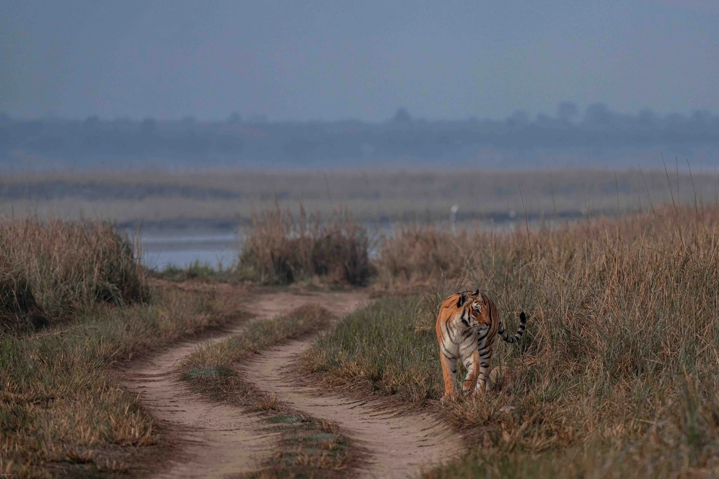 Return to Corbett