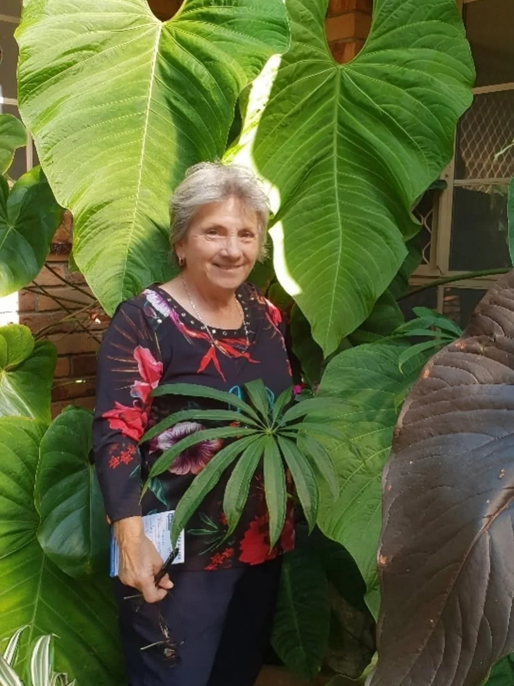 Vale Judy Allen
The ASA committee would like to inform members of the passing of Judy Allen the week before last.
Judy was a founding member along with being the society’s inaugural secretary and later spent time coordinating the suppers at