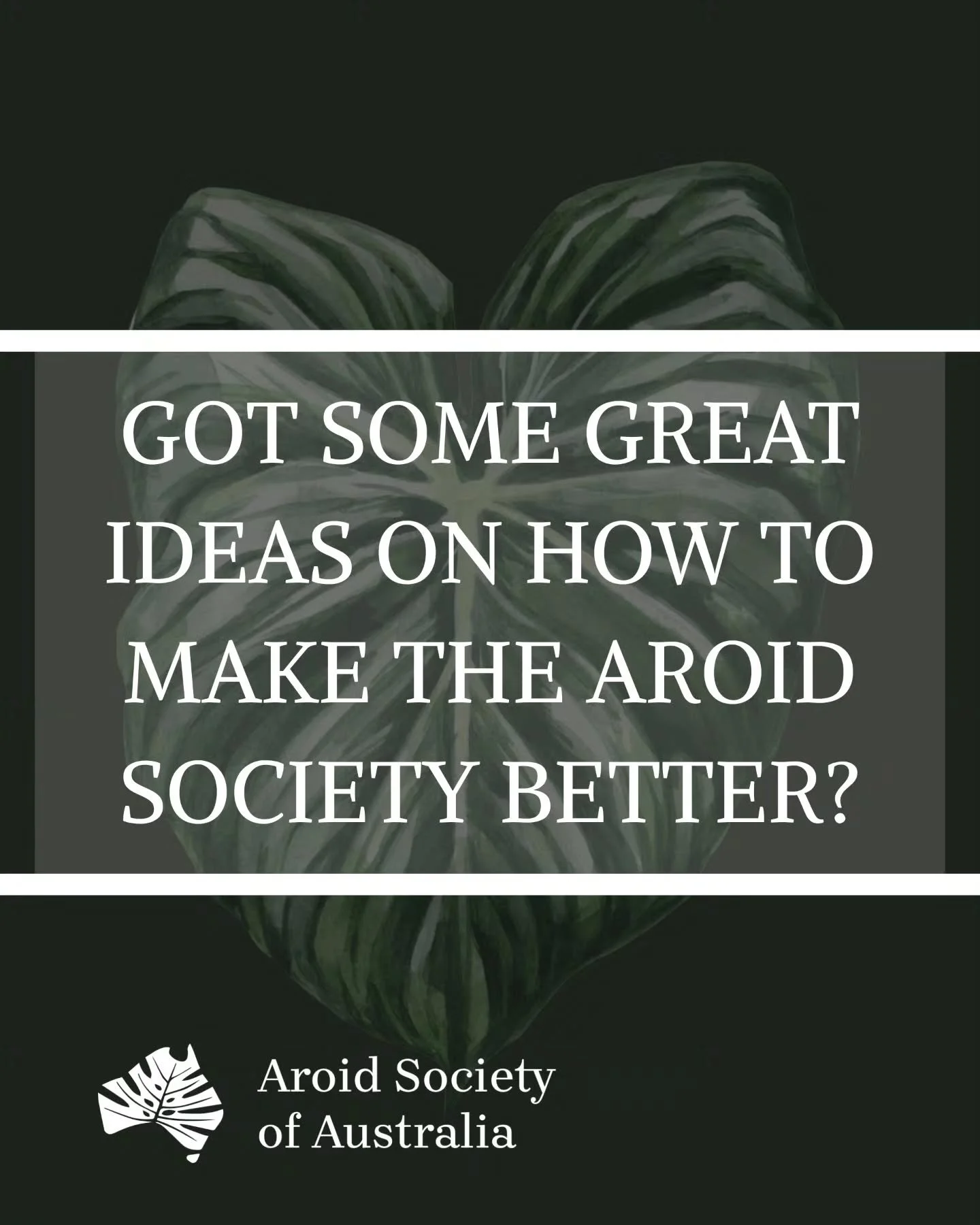 This is your last call to submit nominations for the Management Committee for the coming year. Being on the committee is a great way to help the society grow and affect change. So if you have great ideas, we'd love you on board.
Nominations close 6pm