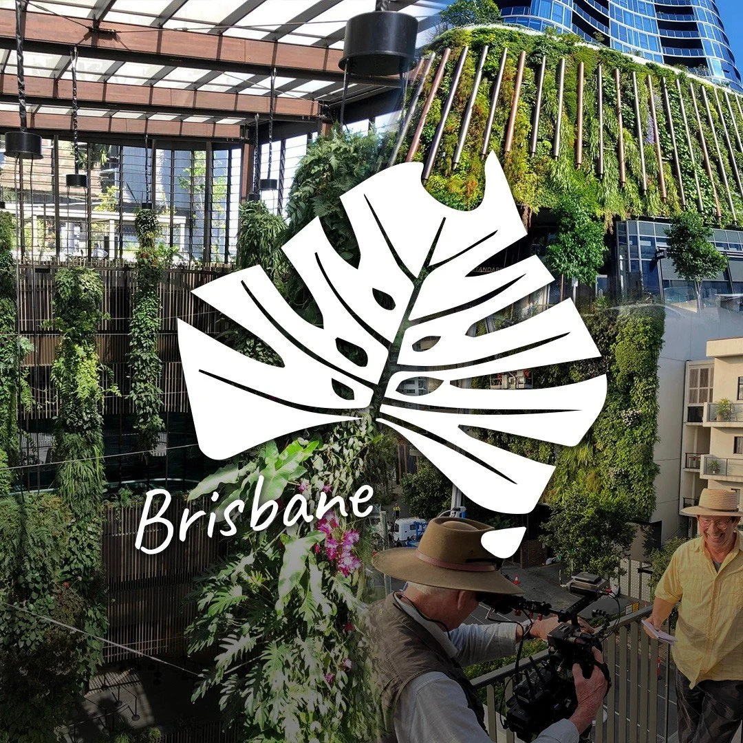 Two weeks to go! (Note: The original date, Sunday 24th August has been changed due a potential large-scale event occurring in Brisbane CBD which will contain large crowds and potentially impact our walking tour.)
Join the ASA for our next SEQ Field