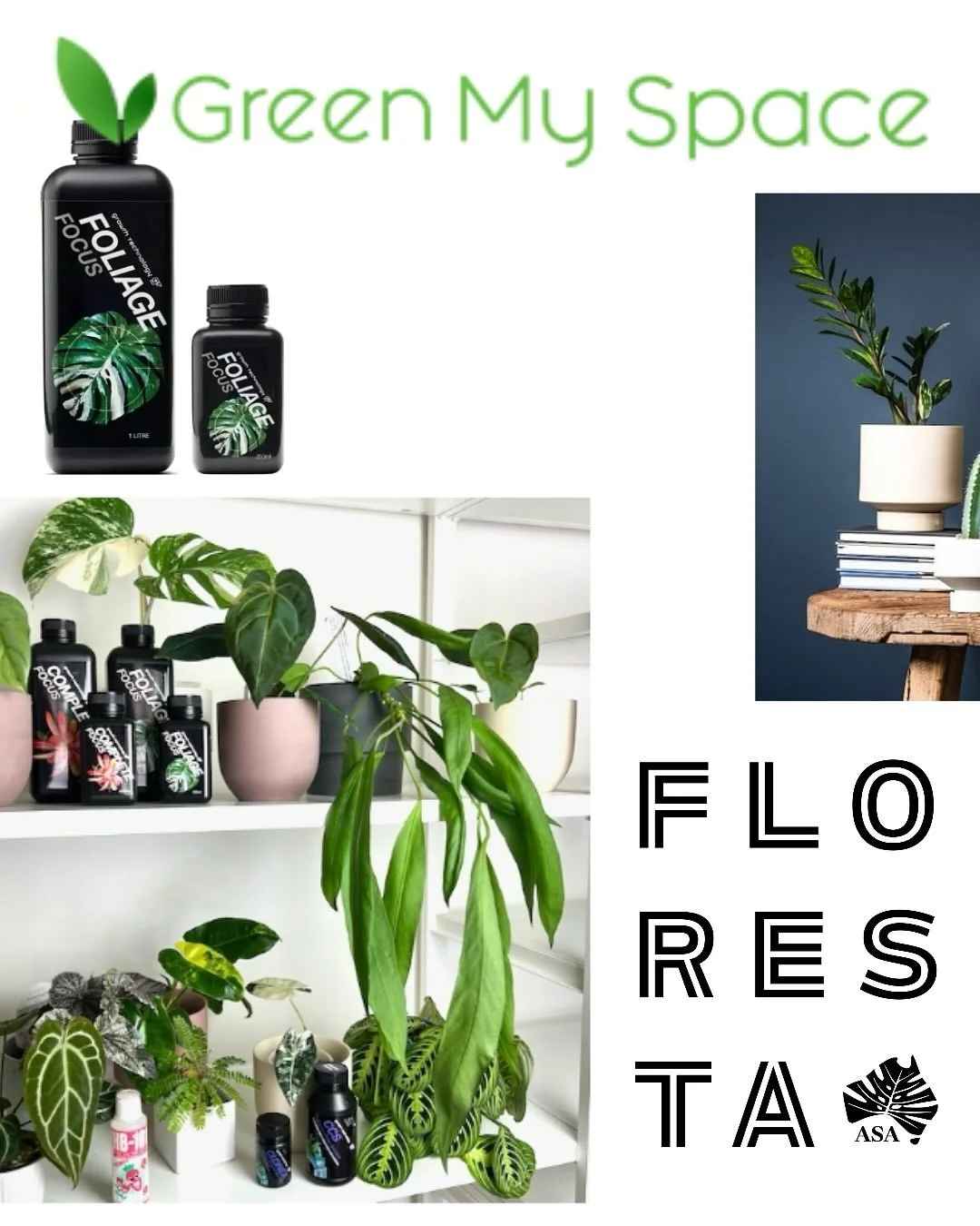 FLORESTA STALLHOLDER SPOTLIGHT:
@greenmyspace.com.au
Green your space with plants, GT nutrients, terrarium glassware and sleek ceramics!!!
More information or to purchase your tickets head to the link: https://www.aroids.net/florestamelbourne-2025