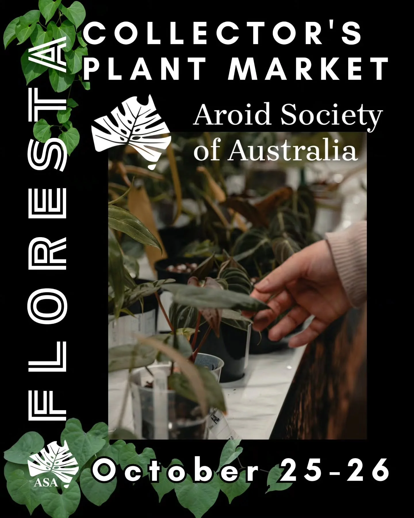 FLORESTA STALLHOLDER SPOTLIGHT:
@aroidsocietyau Society Store
This is where you'll find:
🌱 one-off plants from our members' private collections, which you can make your own
🌱 plant care accessories at great prices
🌱 information on joining the @aro