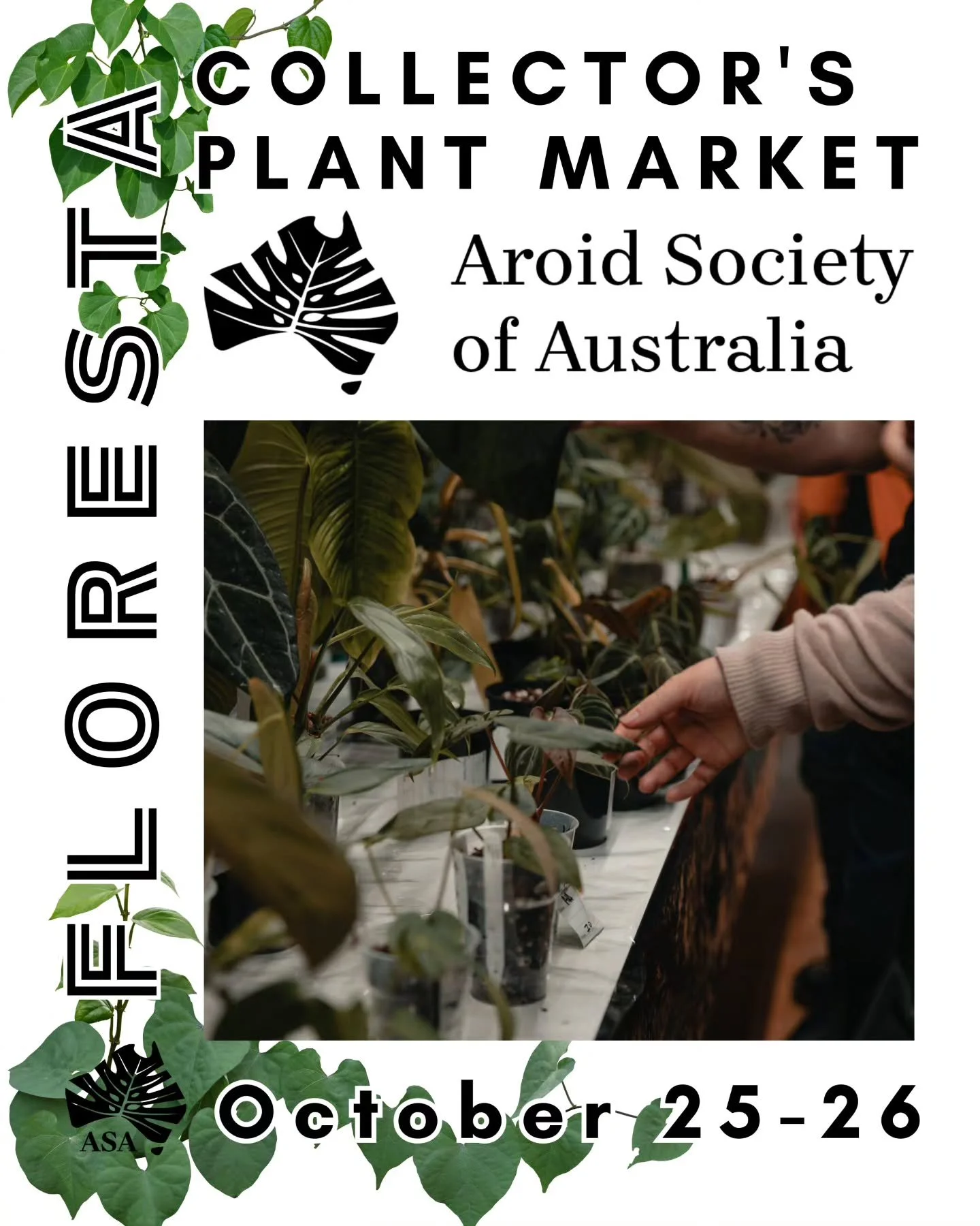 FLORESTA STALLHOLDER SPOTLIGHT:
@aroidsocietyau Society Store
This is where you'll find:
๐ฑ one-off plants from our members' private collections, which you can make your own
๐ฑ plant care accessories at great prices
๐ฑ information on joining the @aro