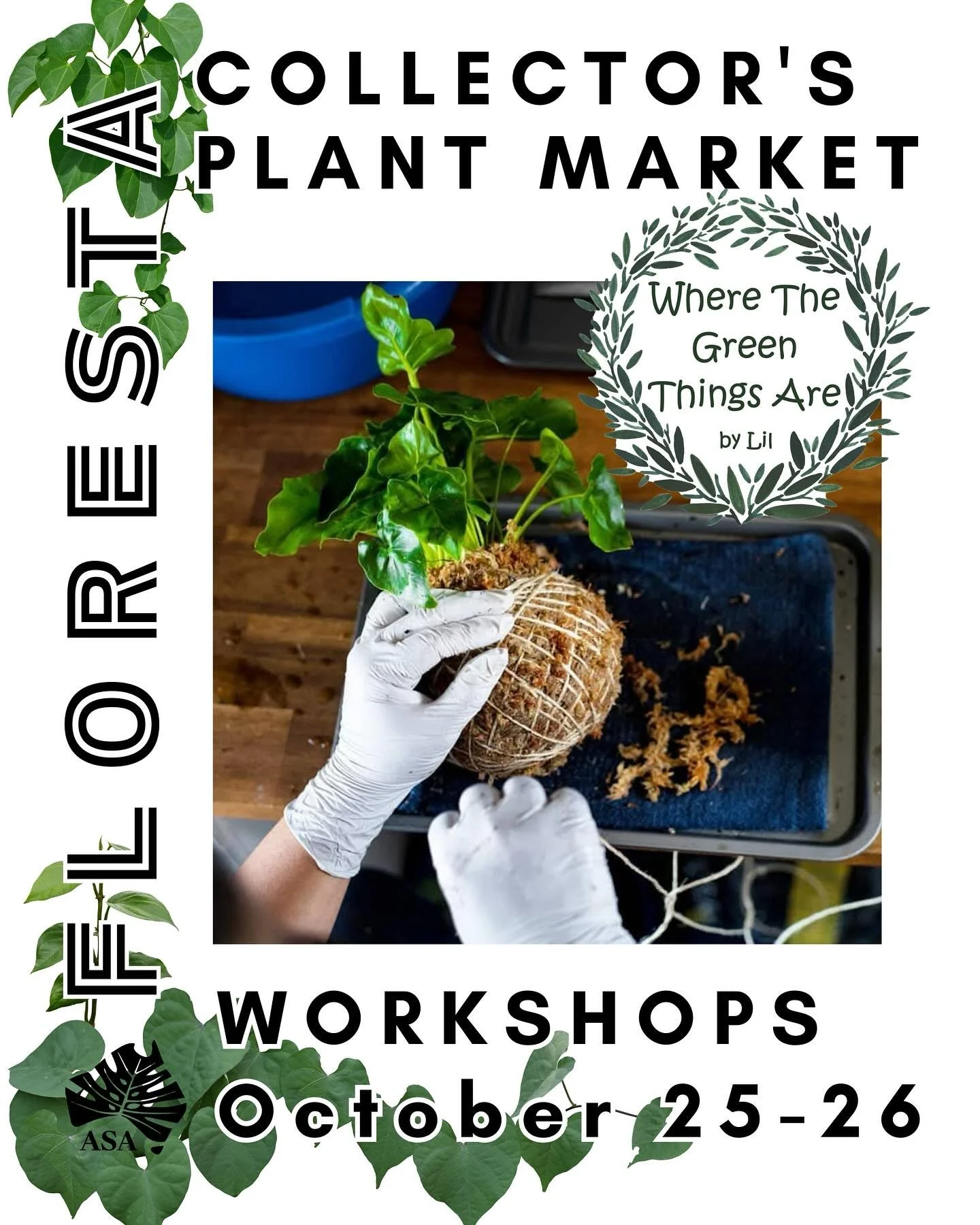 FLORESTA WORKSHOP SERIES:
Kokedama for Beginners
Join Lilian of @wherethegreenthingsare_by_lil to learn how to make two of your own modern kokedamas, learning tips and tricks from a master!
More information at https://www.aroids.net/florestamelbo