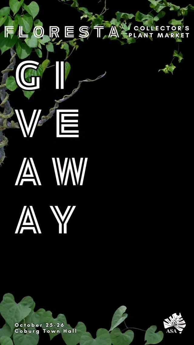 WIN A $50 FLORESTA VOUCHER!
Simply pre-purchase your tickets before October 1 to go into the draw. Plants, food, art, portraits; you can spend it however you like!
Winner will be drawn at random and emailed, as well as announced via stories.