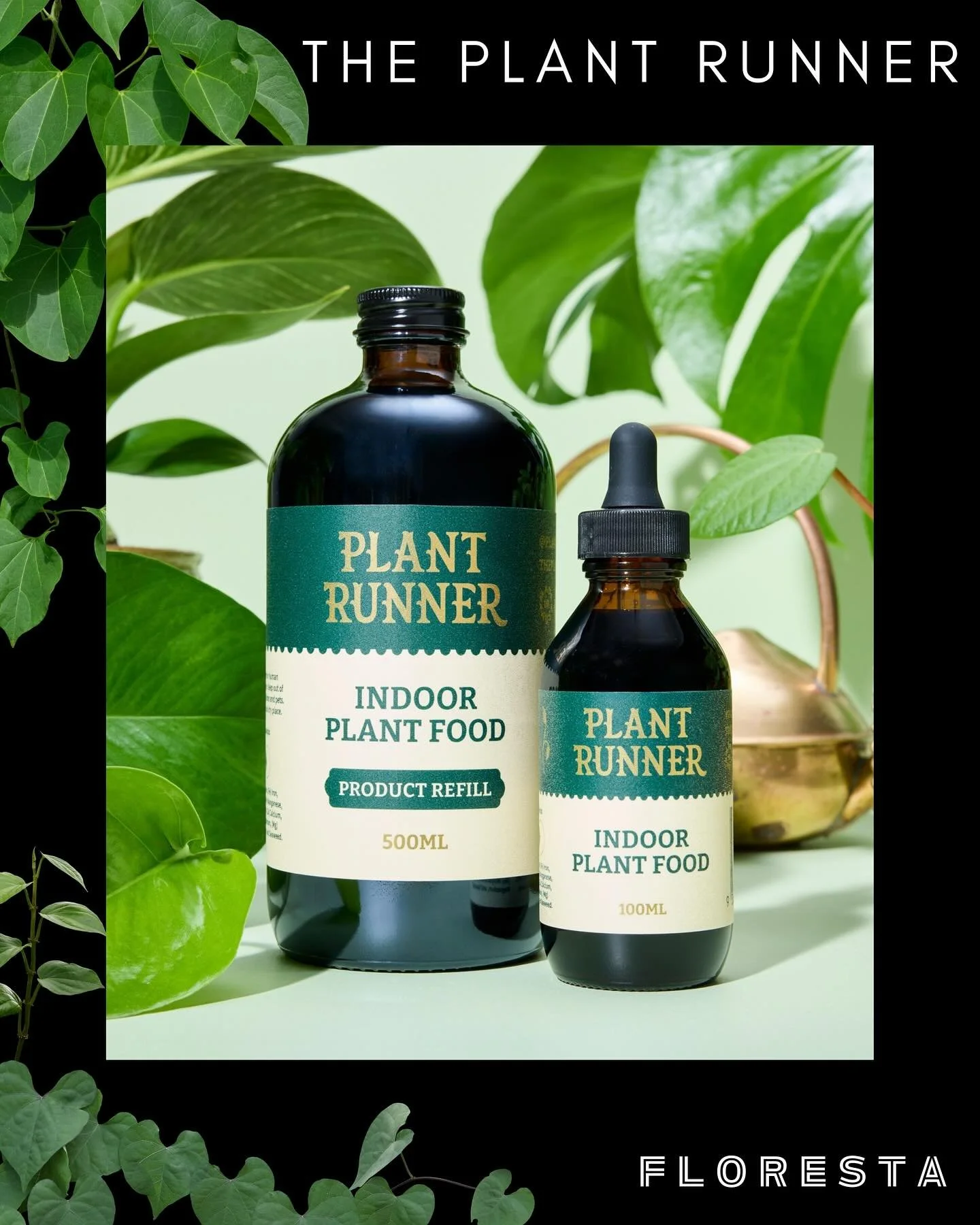FLORESTA STALLHOLDER SPOTLIGHT:
@plantrunnertruck
Making plant care easy and good looking since back in the day.
More information at https://www.aroids.net/florestamelbourne-2025
Tickets on sale now
@aroidsocietyau #plantrunner #florestamelbourne