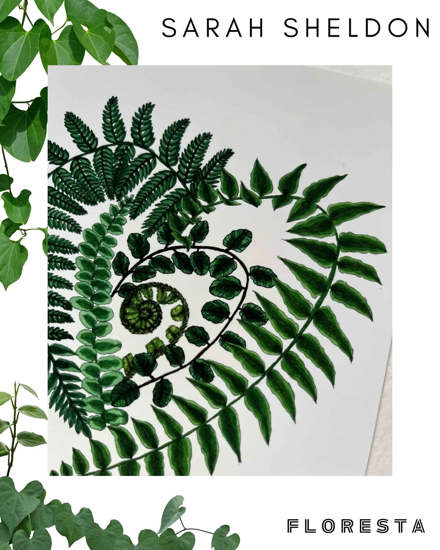 FLORESTA STALLHOLDER SPOTLIGHT:
@sarahsheldonart
Vibrant botanical art from Sunshine incarnate. Treat yourself to a new colouring book while you’re there!
More information at https://www.aroids.net/florestamelbourne-2025
Tickets on sale now