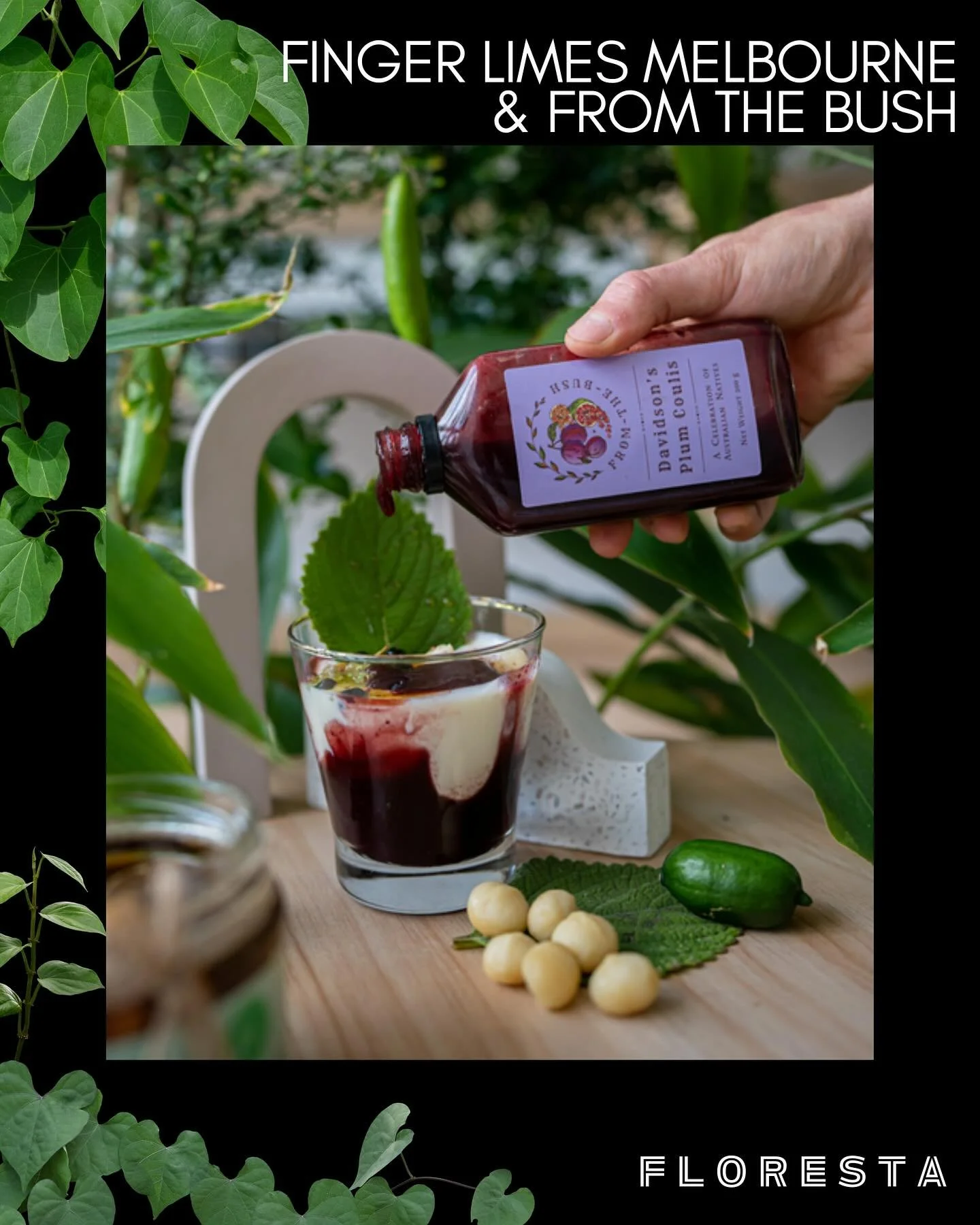 FLORESTA STALLHOLDER SPOTLIGHT:
@finger.limes.melbourne
Bush tucker plants, Finger Limes, gourmet native food.
More information at https://www.aroids.net/florestamelbourne-2025
Tickets on sale now
@aroidsocietyau #ausbushfood #fingerlimesmelbourn
